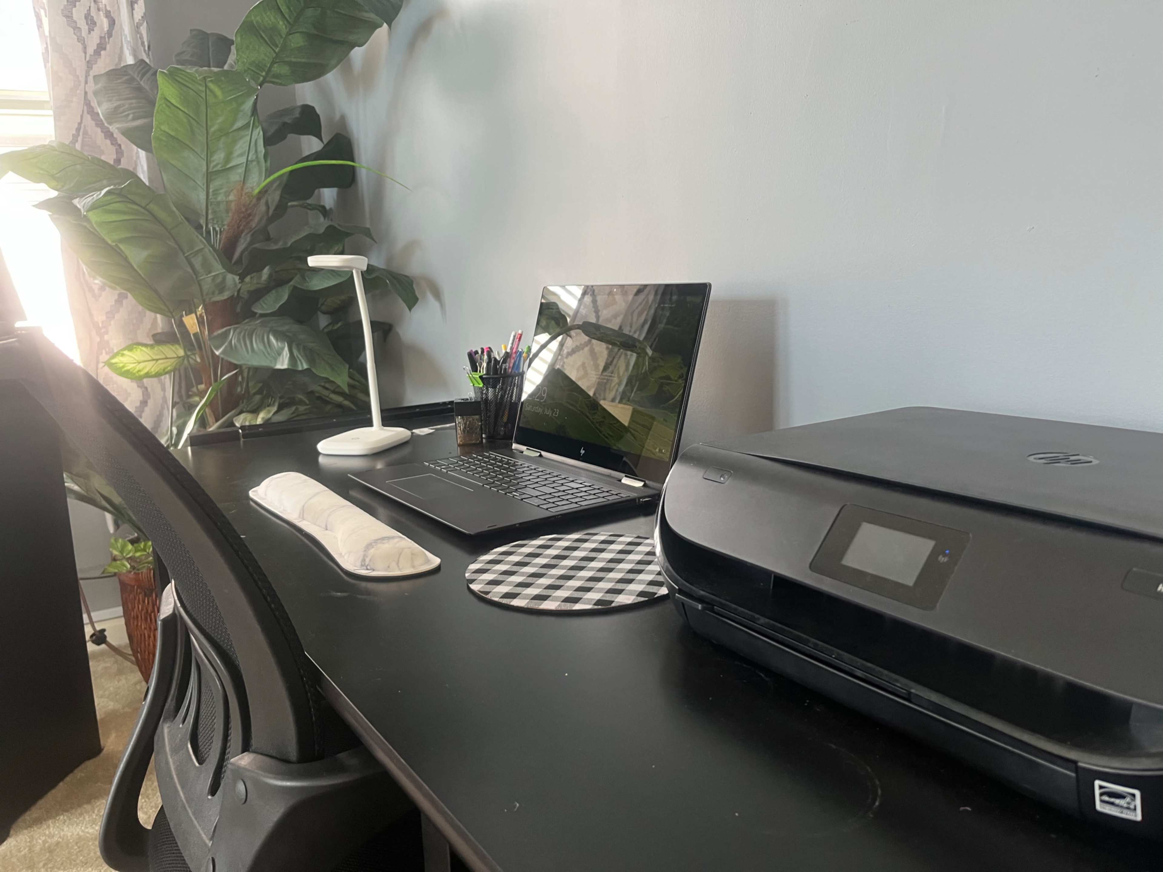 A desk is set up with a laptop, a printer, a lamp, stationery in a cup, and a potted plant nearby.