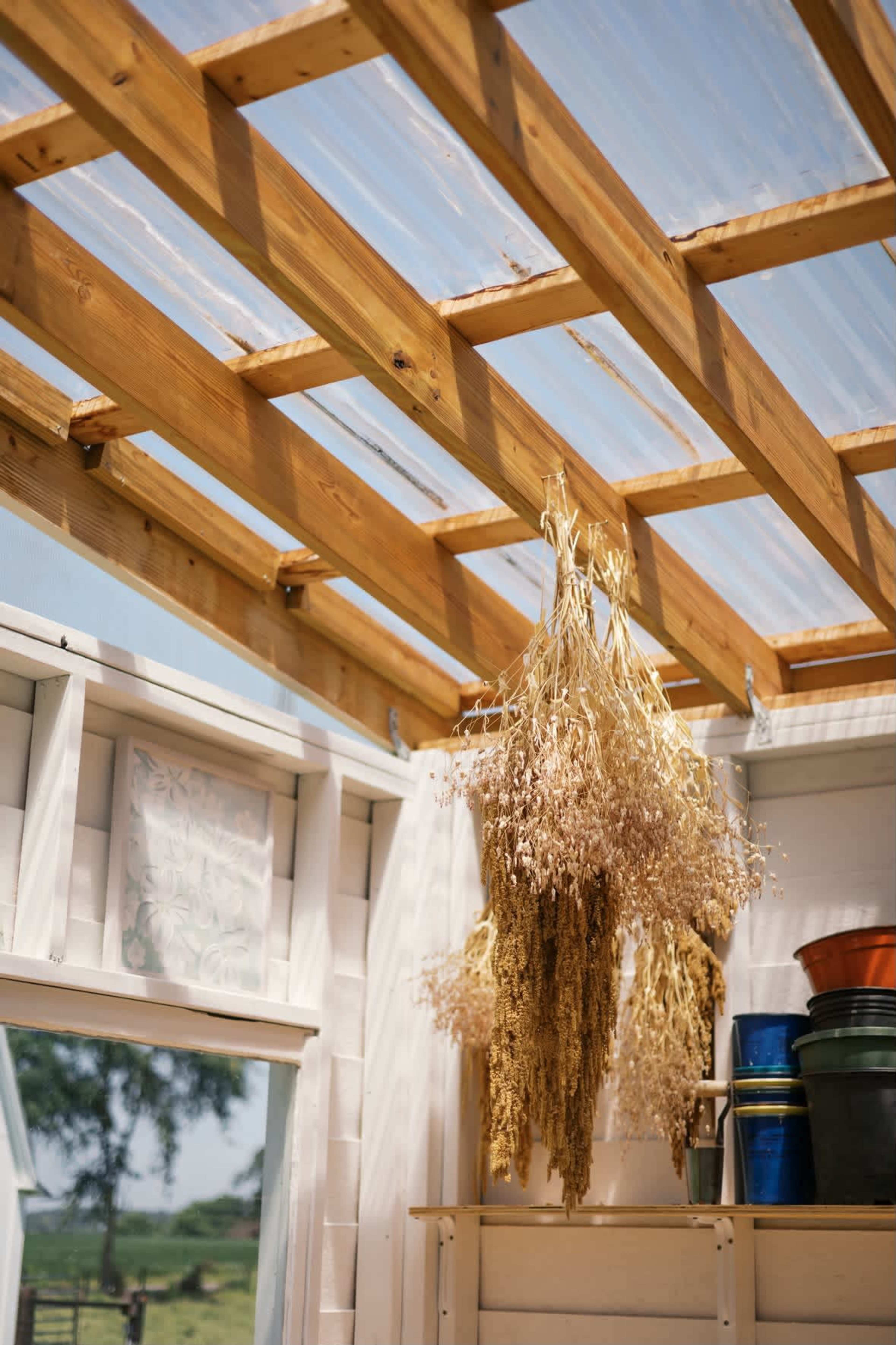 A dried bouquet hangs from the wooden beams of a bright greenhouse with potted plants on shelves.