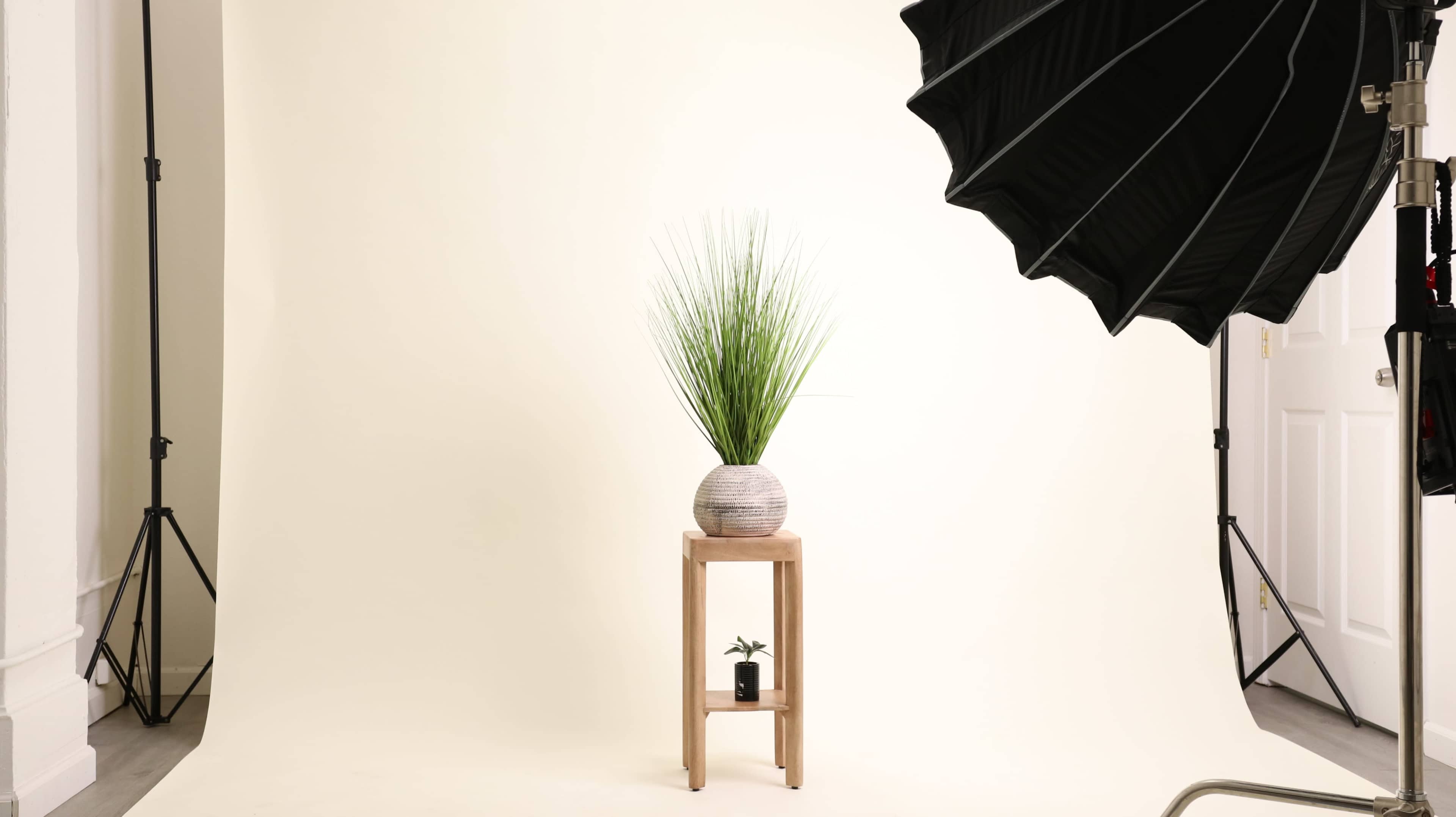 A potted plant sits on a wooden stool in front of a plain light-colored backdrop, with a large softbox positioned overhead.