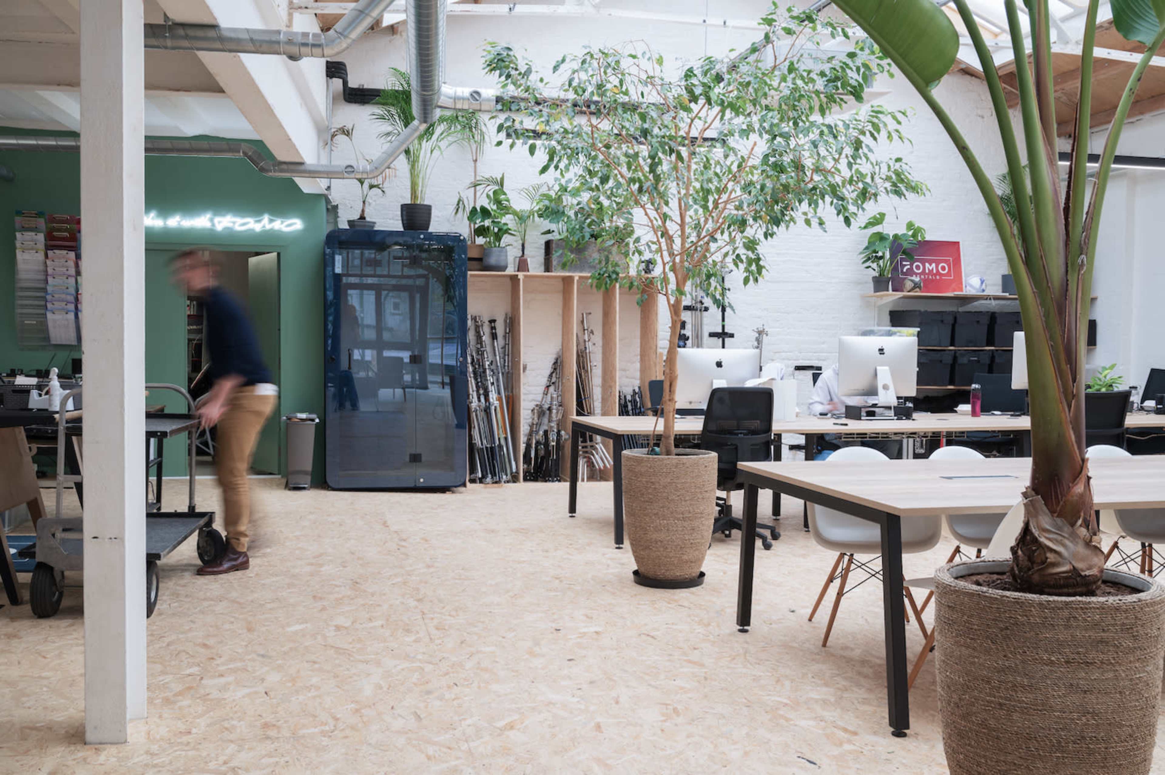 A modern, open office space with multiple desks, computer stations, and large plants in decorative pots.