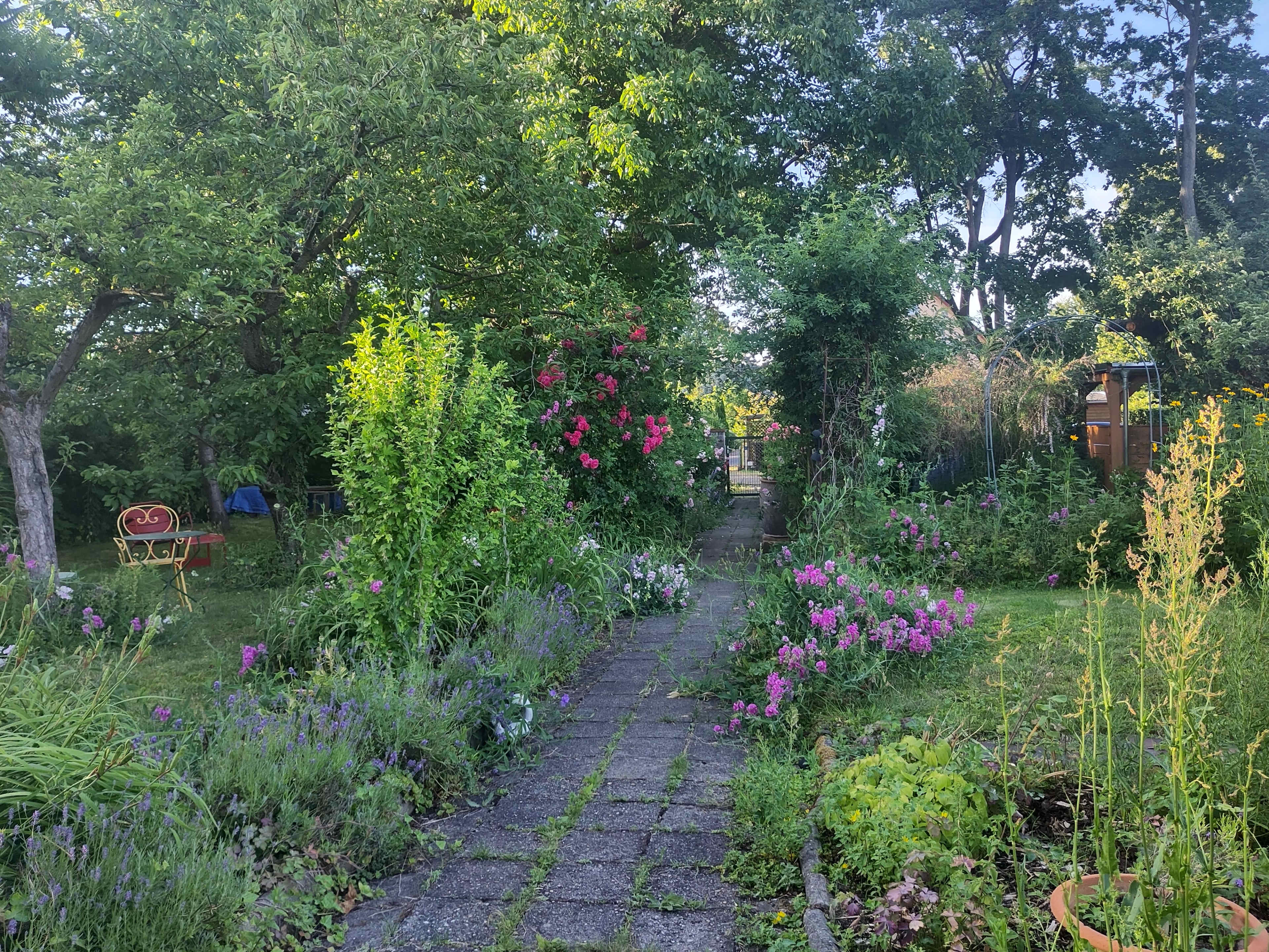 A stone pathway meanders through a lush garden filled with vibrant flowers and greenery.