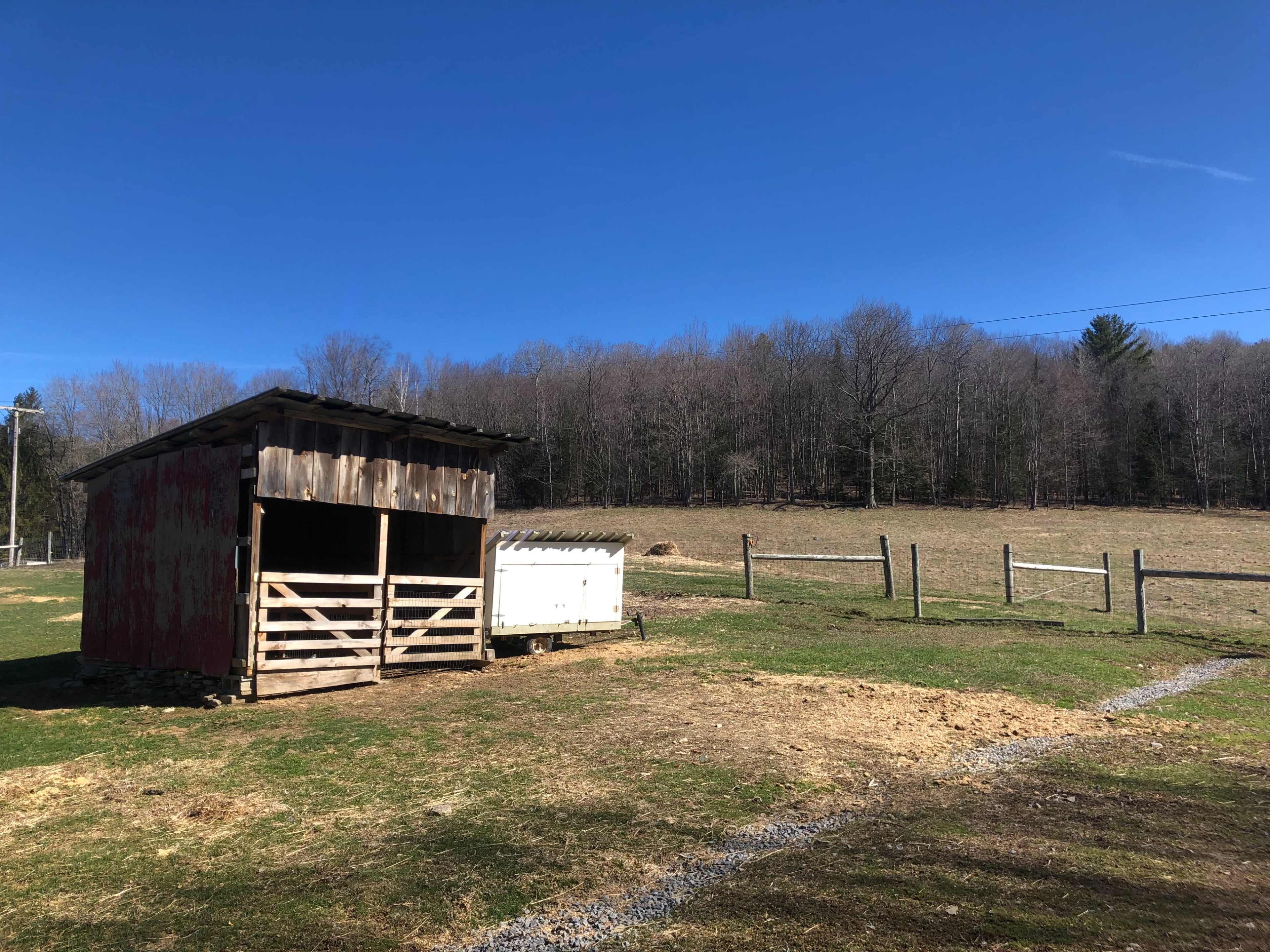 A red barn stands next to a fenced pasture under a clear blue sky, with trees in the background.