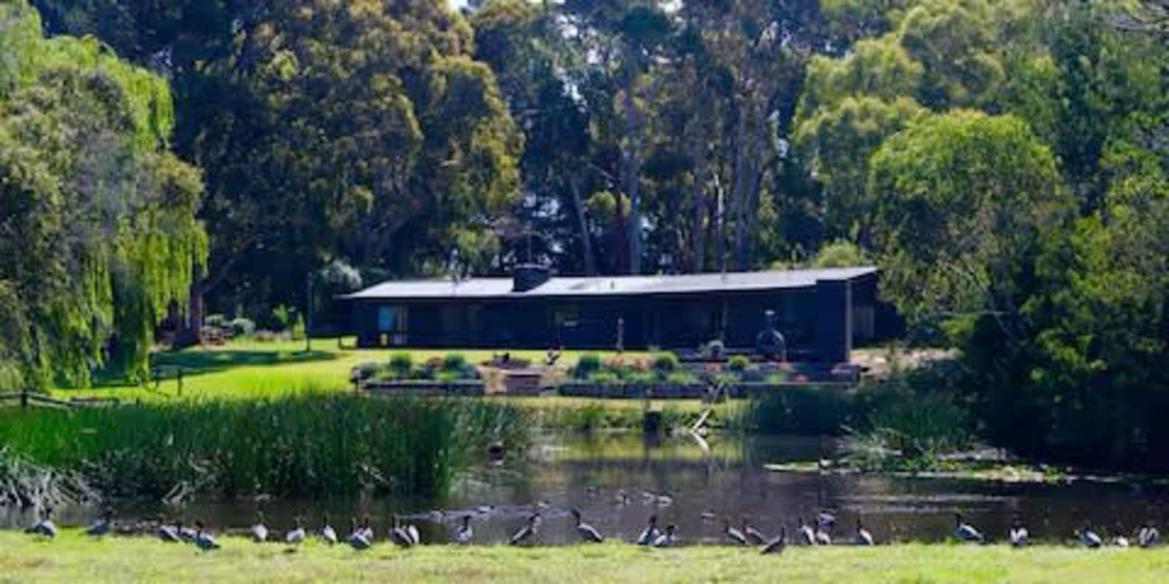 The image shows a serene landscape featuring a well-maintained building surrounded by trees and a pond, with birds gathered along the water's edge.