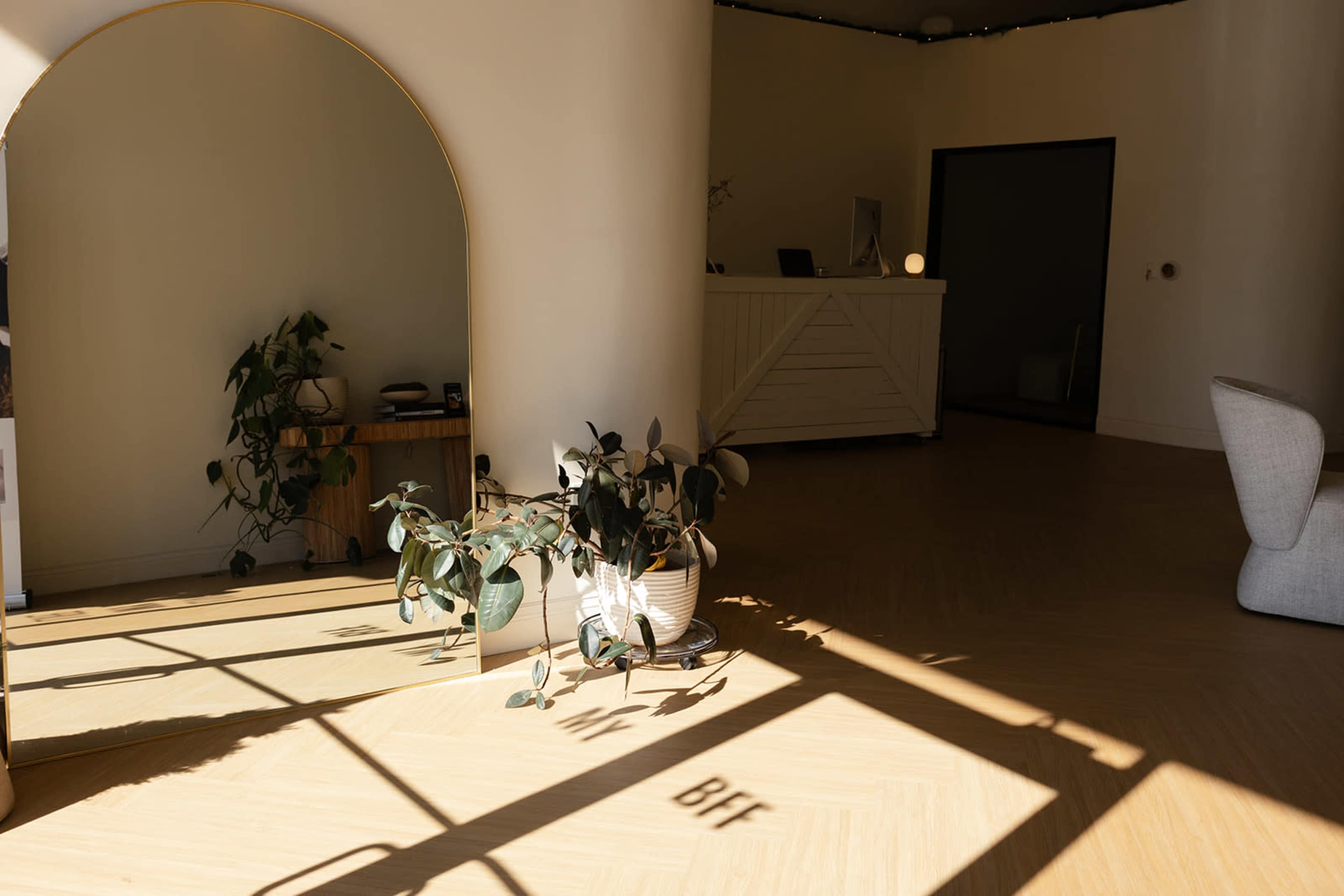 The image shows a modern interior space with a large arch mirror reflecting light, a potted plant, and a reception desk in the background.