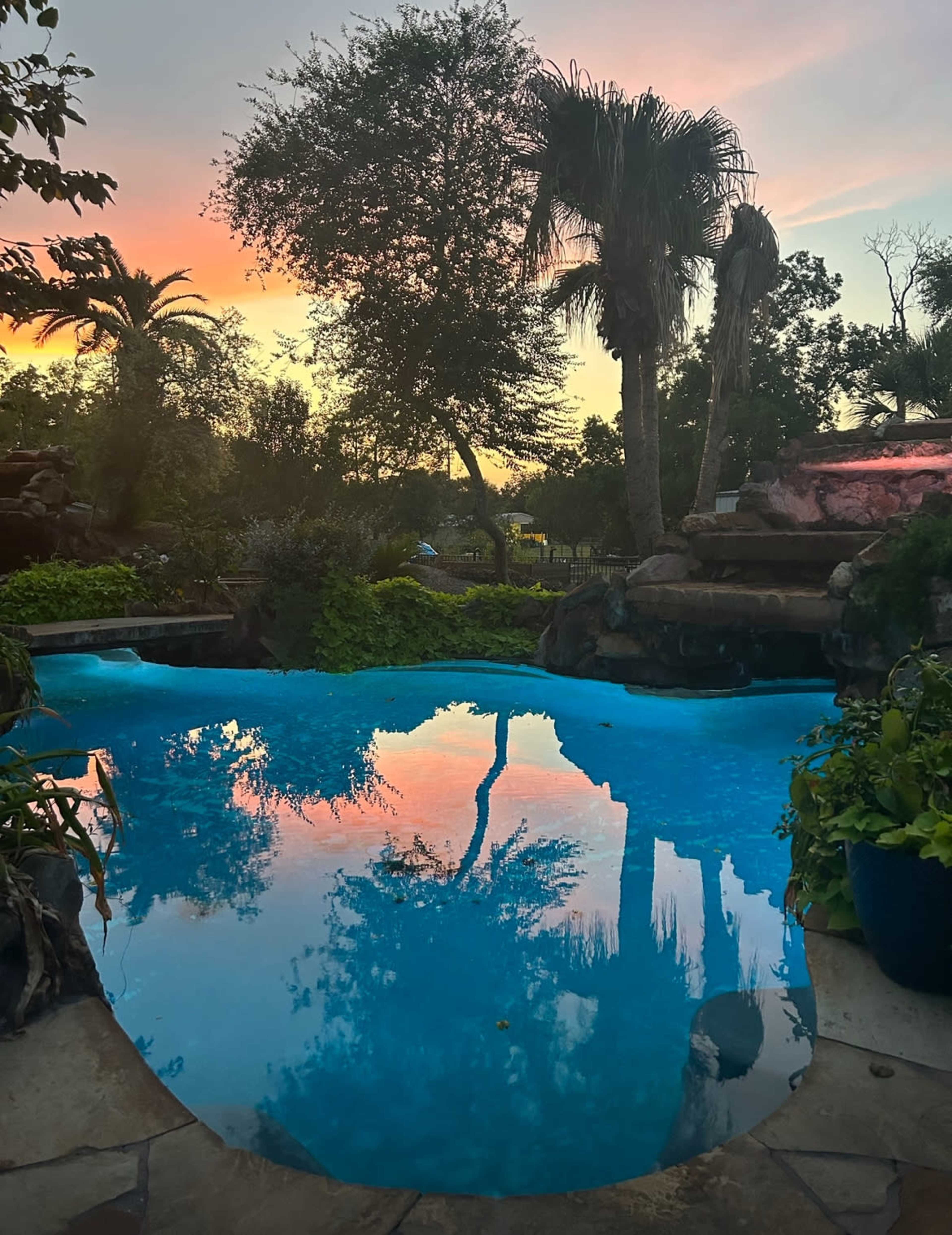 A calm swimming pool reflects palm trees and a sunset sky.
