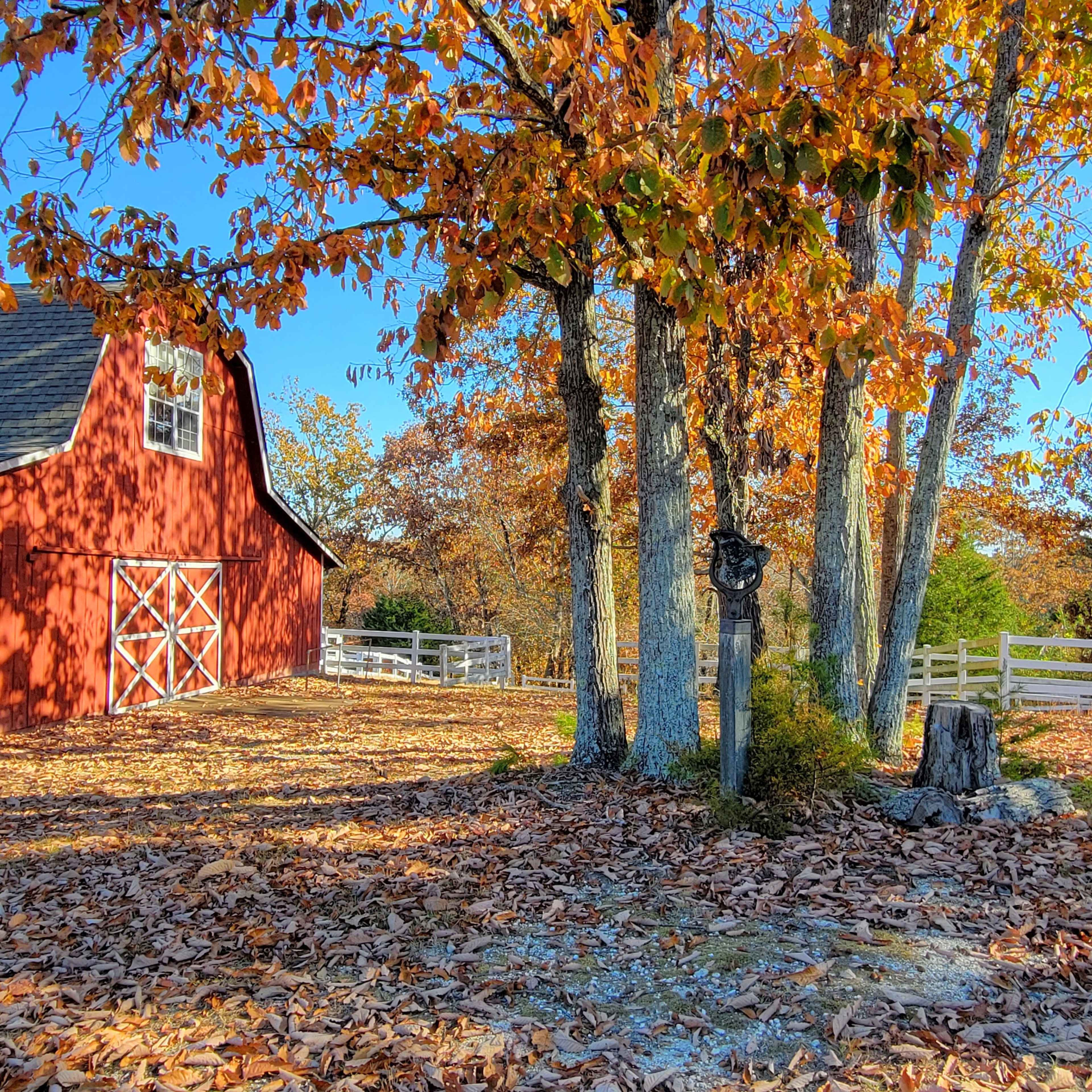 A red barn stands among trees with orange and yellow leaves on a sunny autumn day, surrounded by fallen leaves and a white fence in the background.