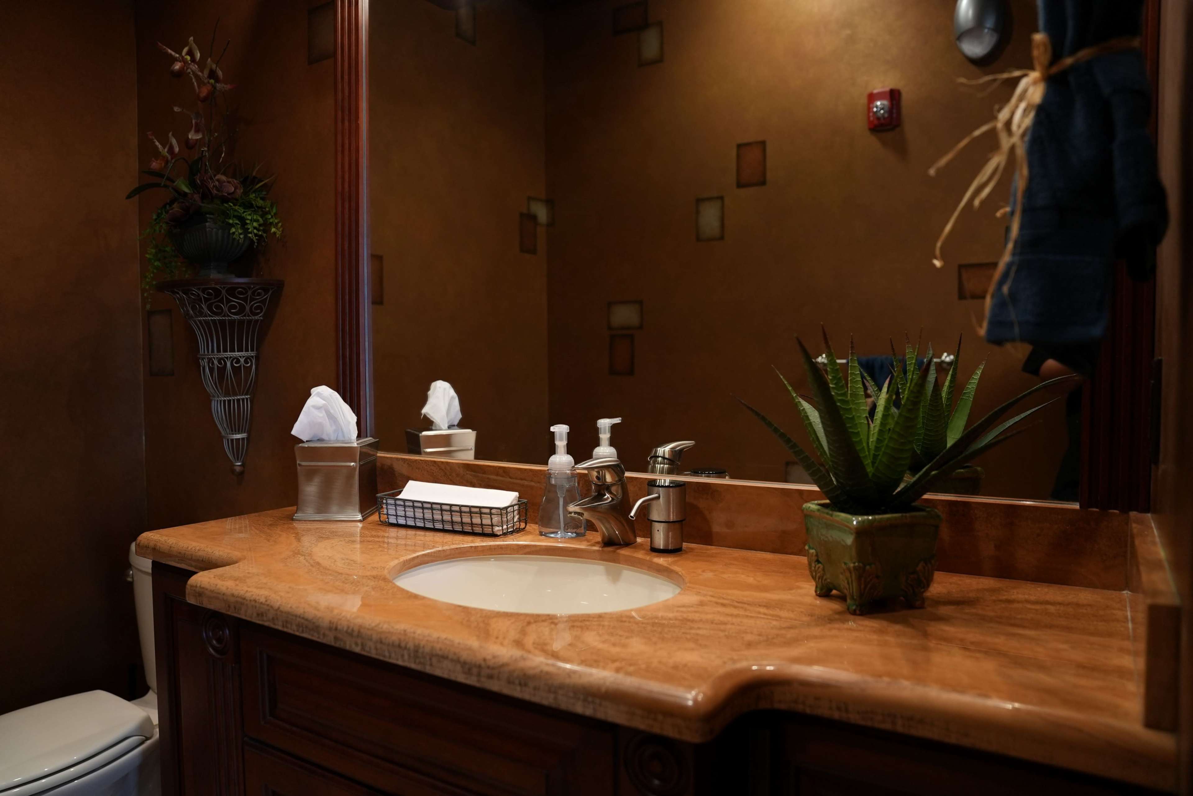The image shows a bathroom with a brown wall, a marble countertop featuring a sink, soap dispensers, and a small potted plant, alongside decorative tissues and a mirror.