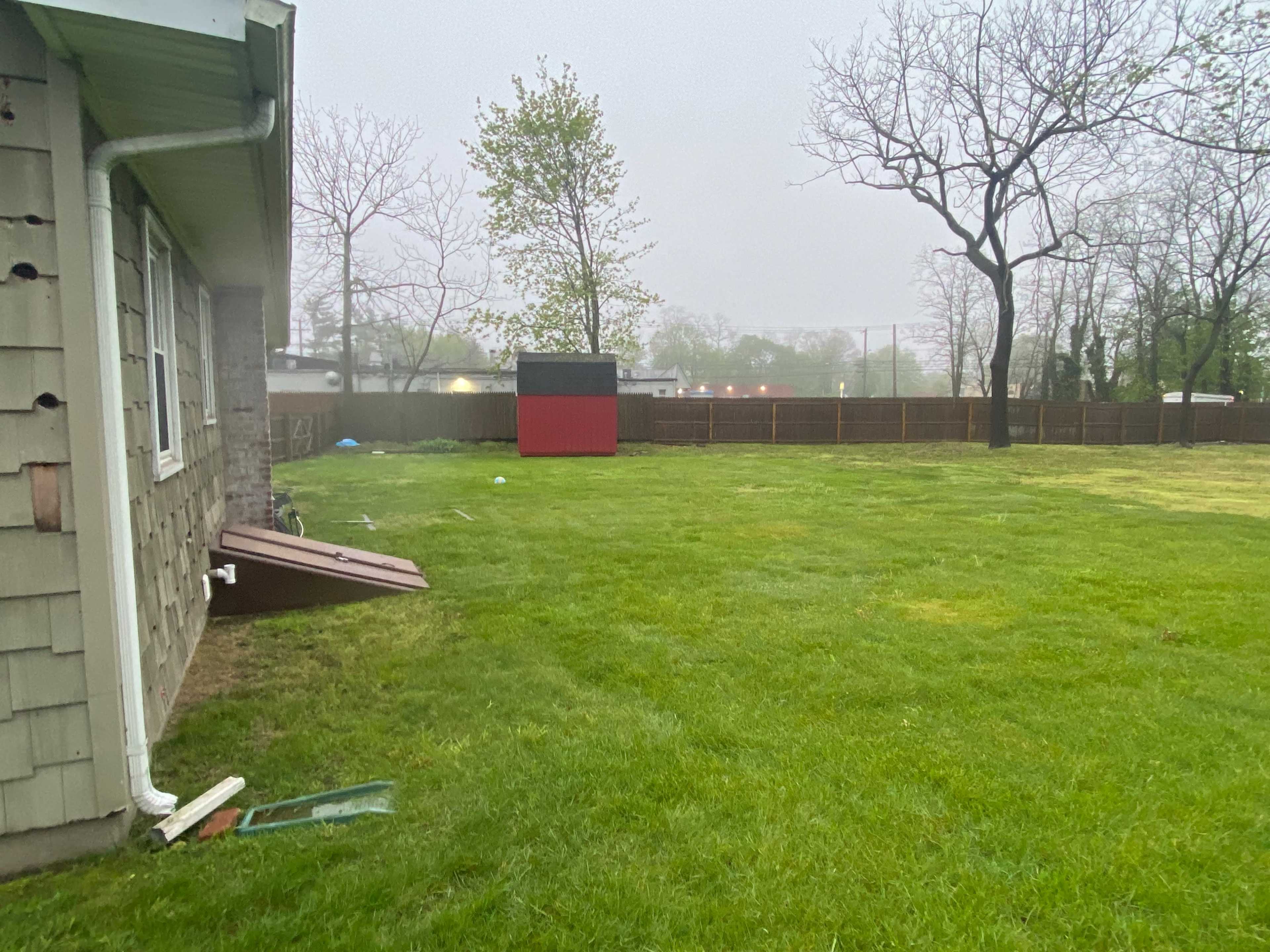 A grassy backyard features a shed painted red, surrounded by trees and a foggy atmosphere.