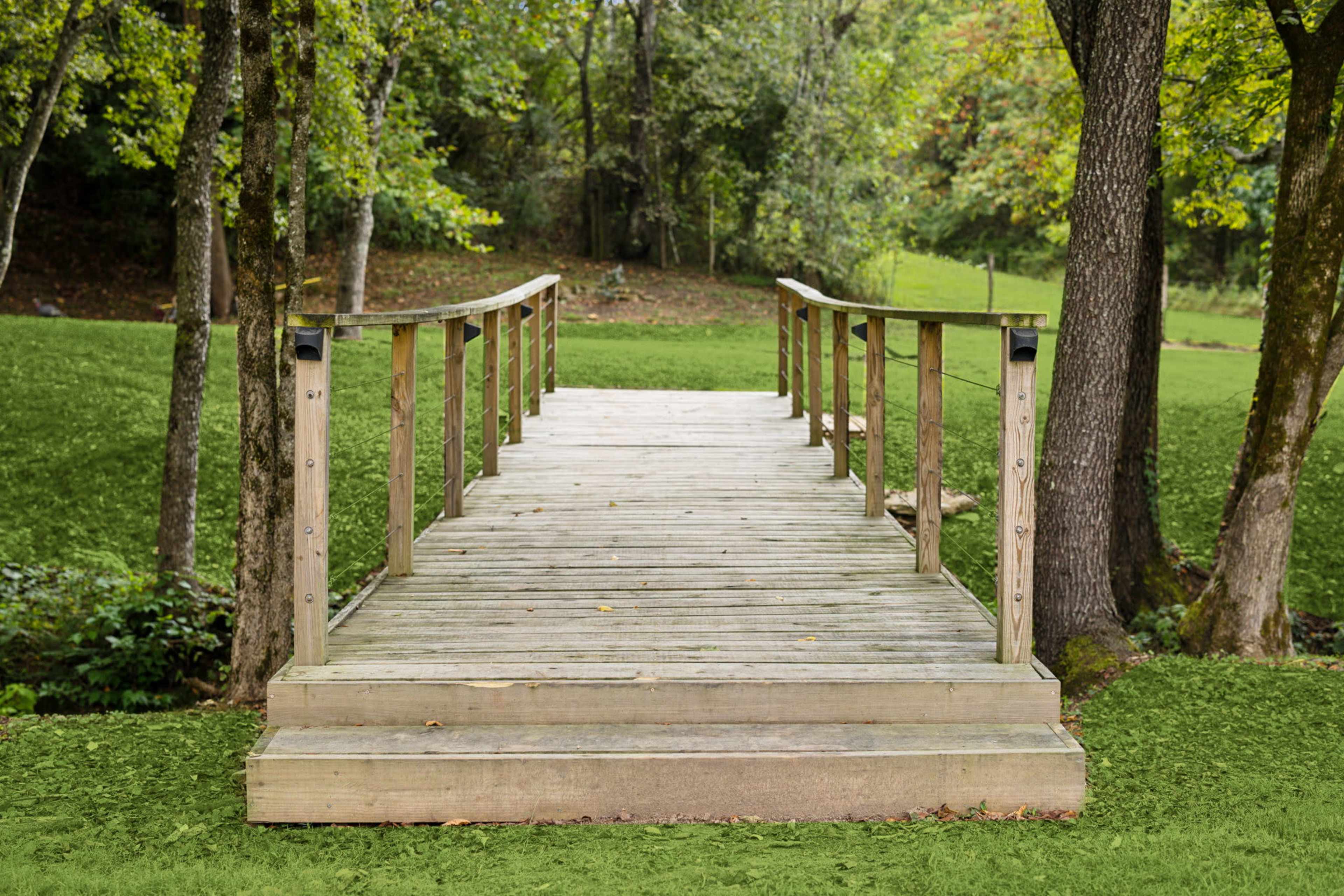 A wooden bridge spans a small clearing surrounded by trees and green grass.
