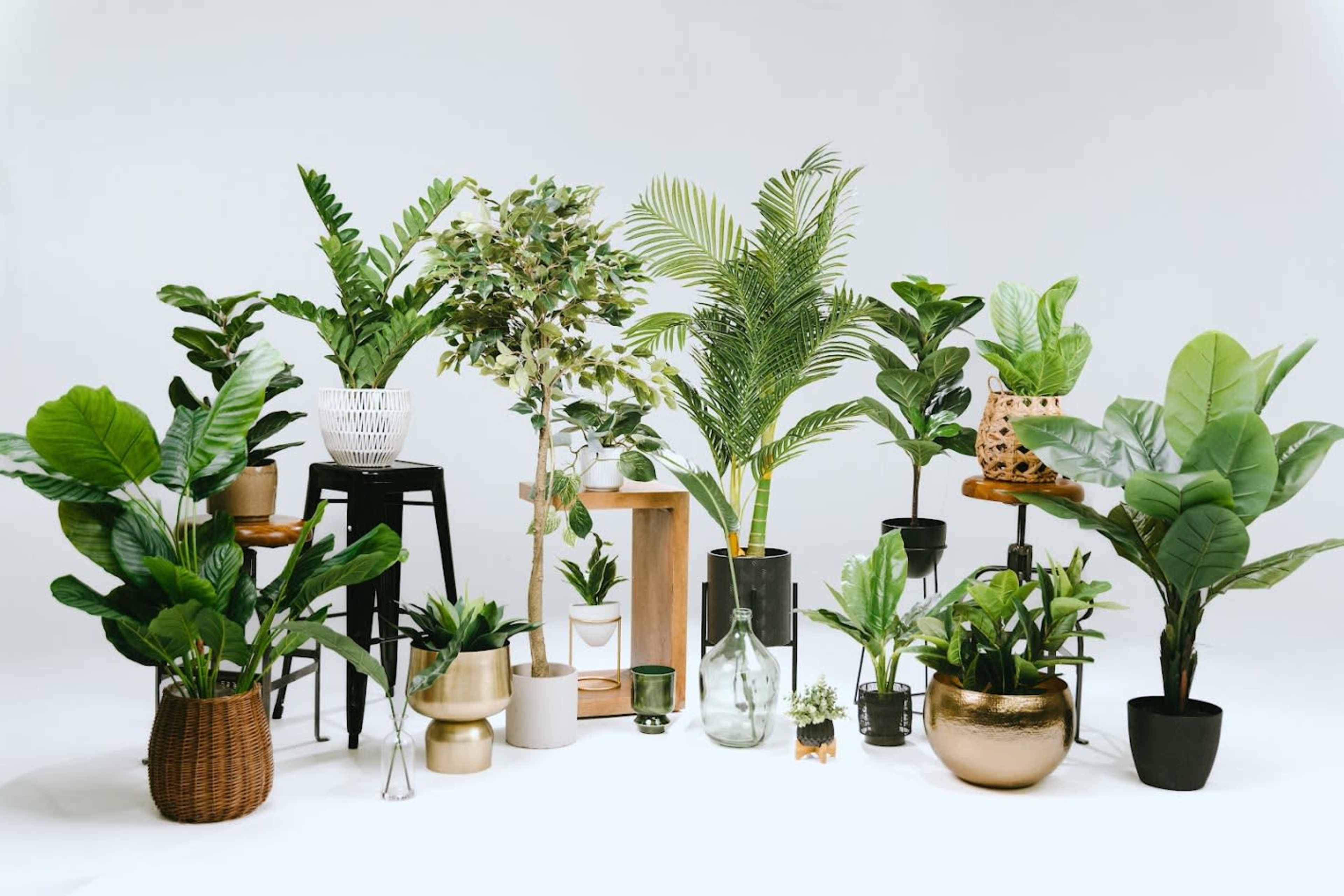 Spacious and Modern Recording and Photography Studio Image in Broadmoor/Sherwood Forest, Baton Rouge, LA