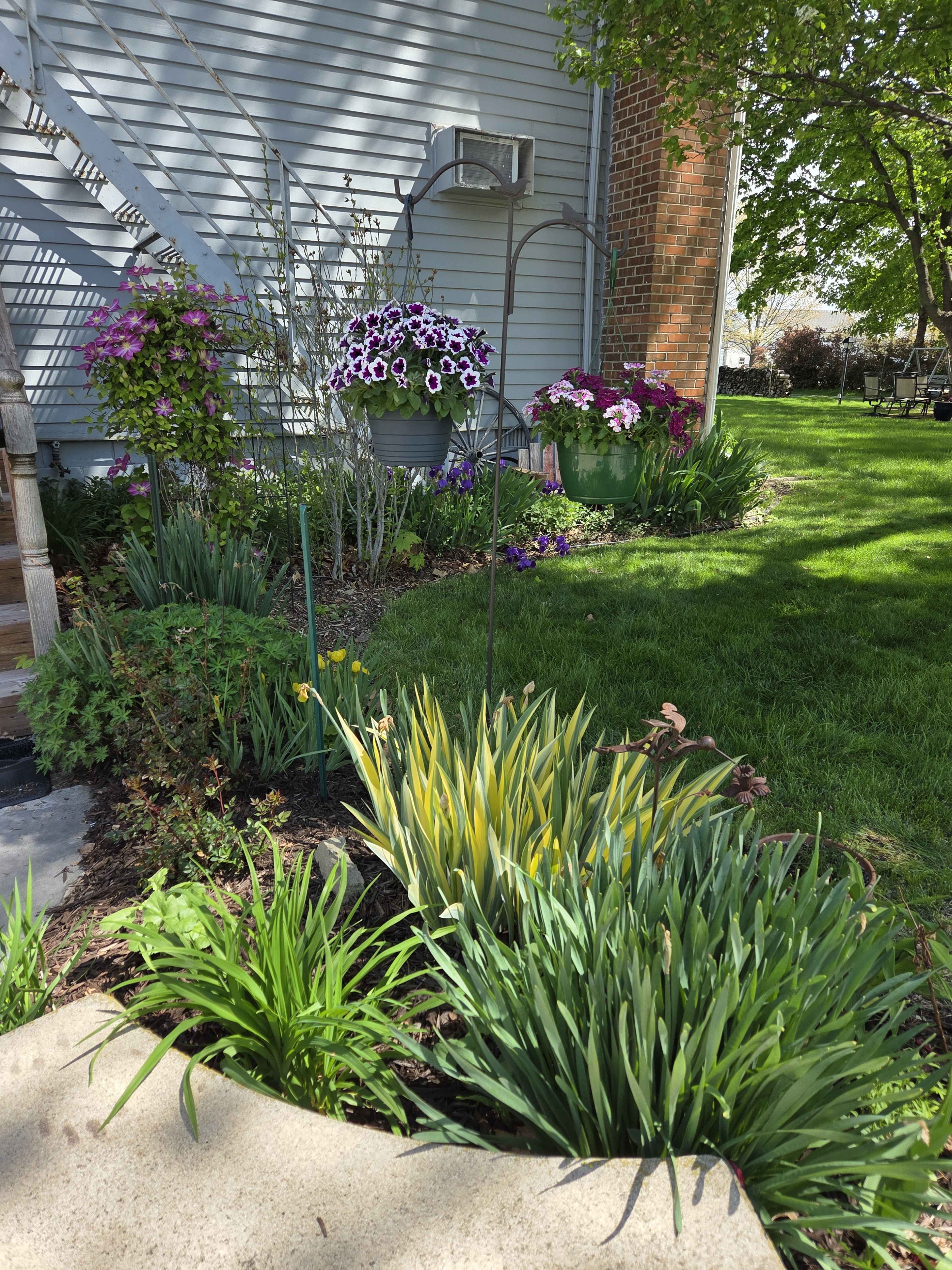 A garden area features various flowering plants and greenery, including hanging flower baskets, set against a house wall.