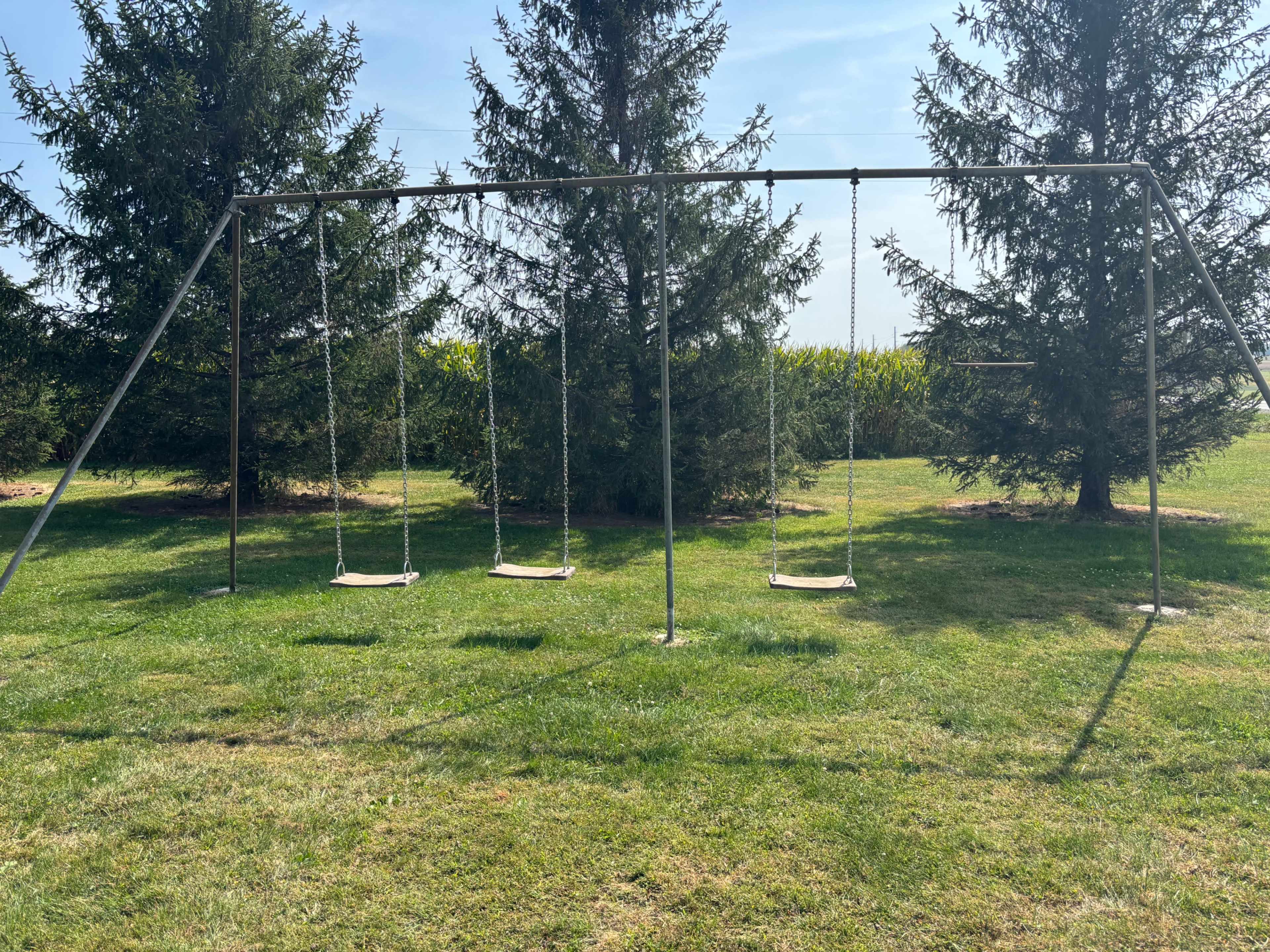 The image shows a set of three swings hanging from a metal frame in a grassy area, surrounded by tall trees and a cornfield in the background.