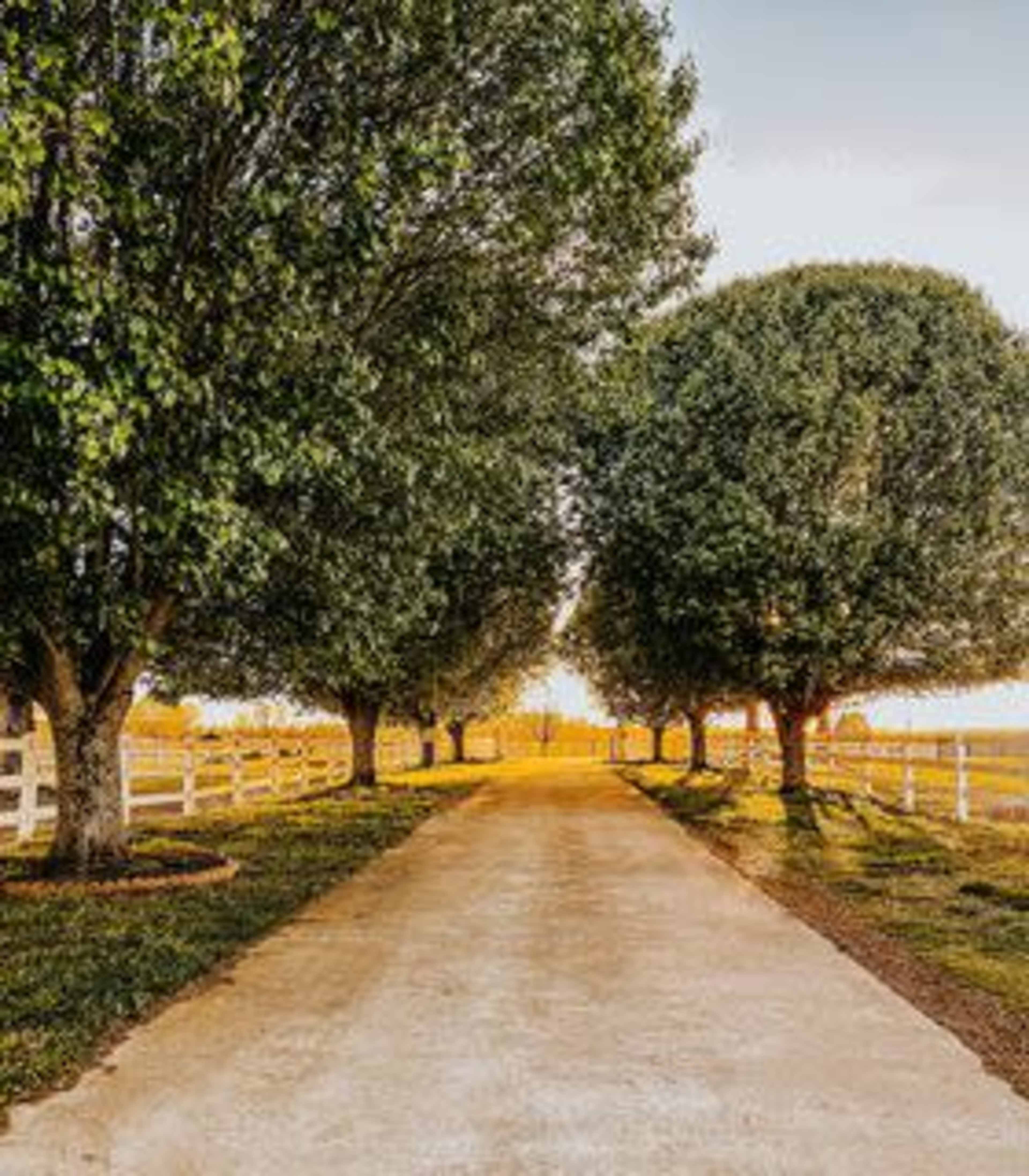 Parkton Place “where you are kind of a big deal.” Image in , Parkton, NC