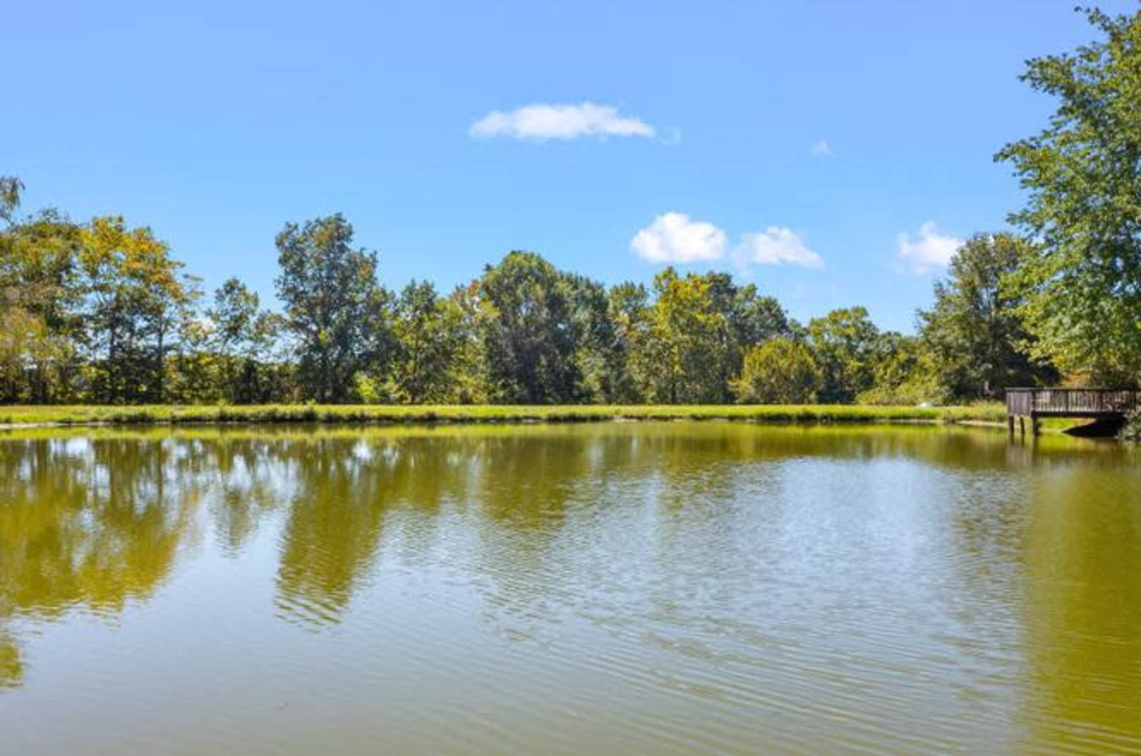 A calm pond reflects the clear blue sky and surrounding trees on a sunny day.