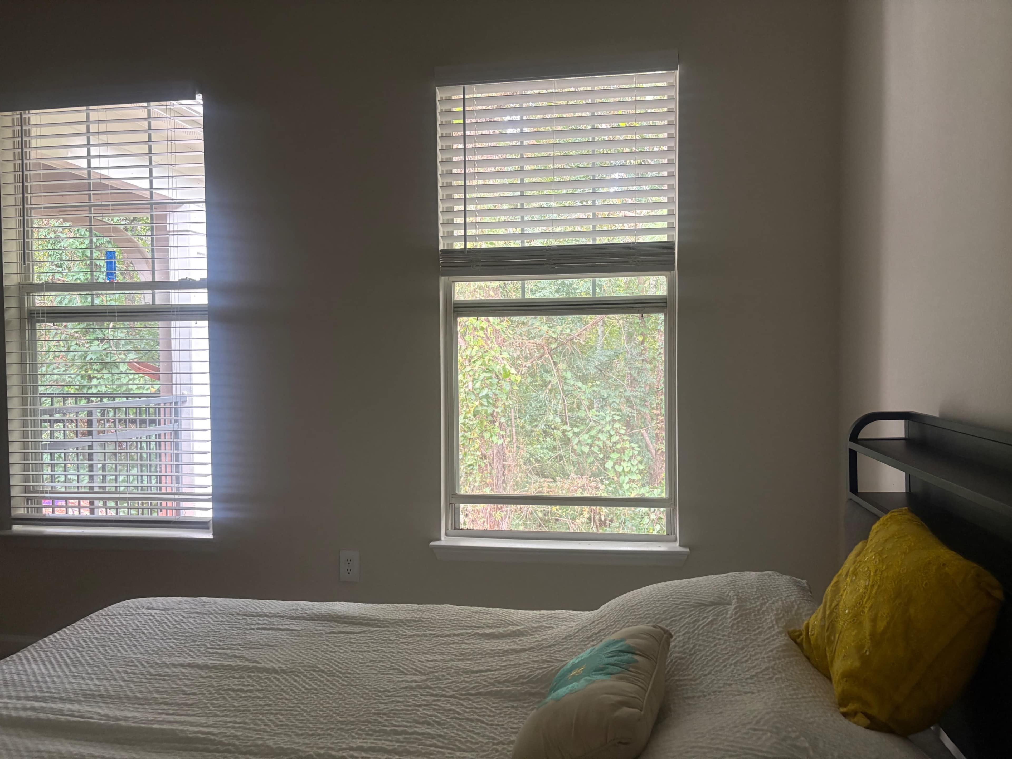 Forest-View Studio Retreat Image in North Raleigh, RALEIGH, NC