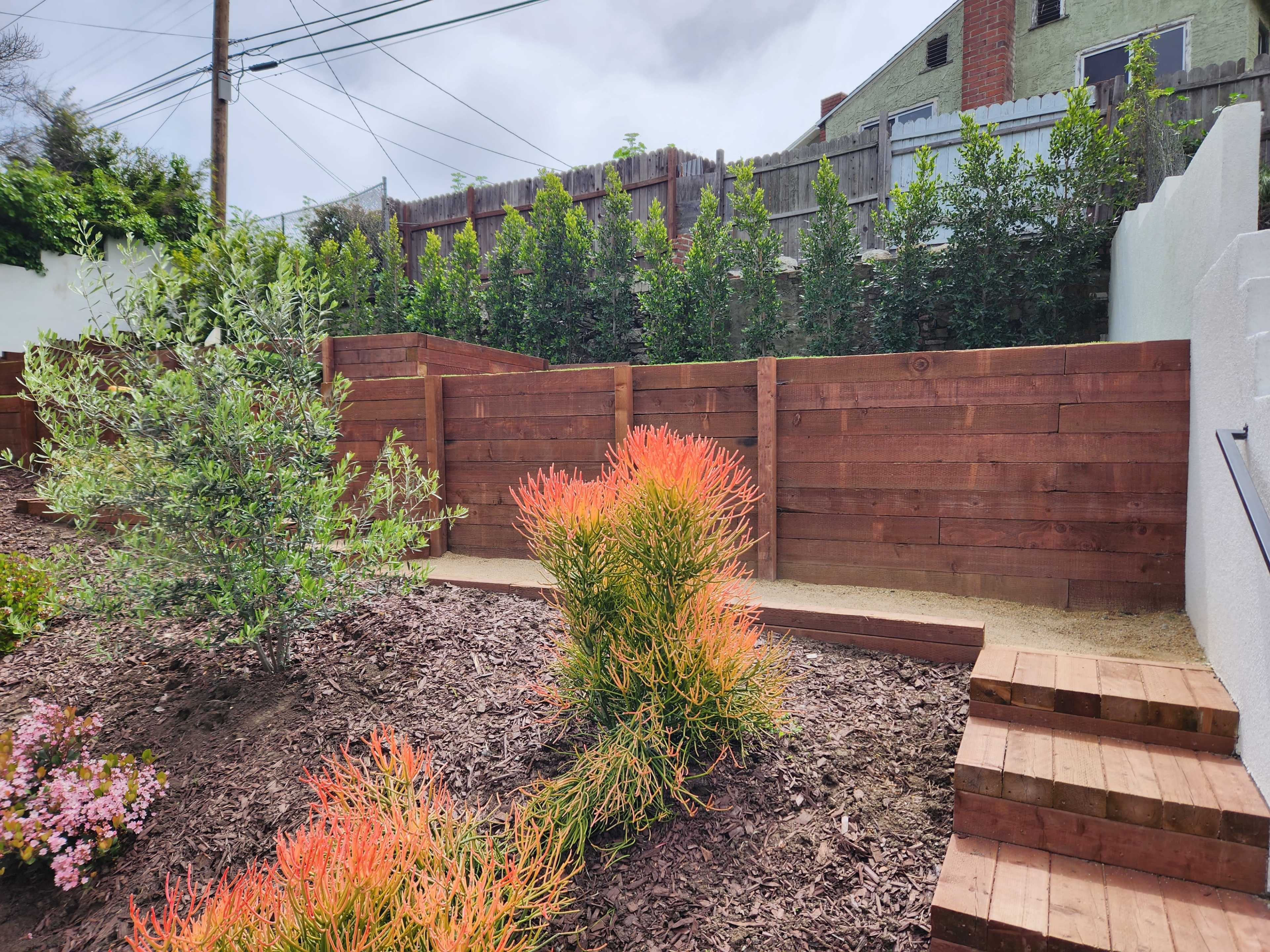 The image shows a landscaped garden featuring wooden fencing, mulch, and a plant with orange-tipped foliage.