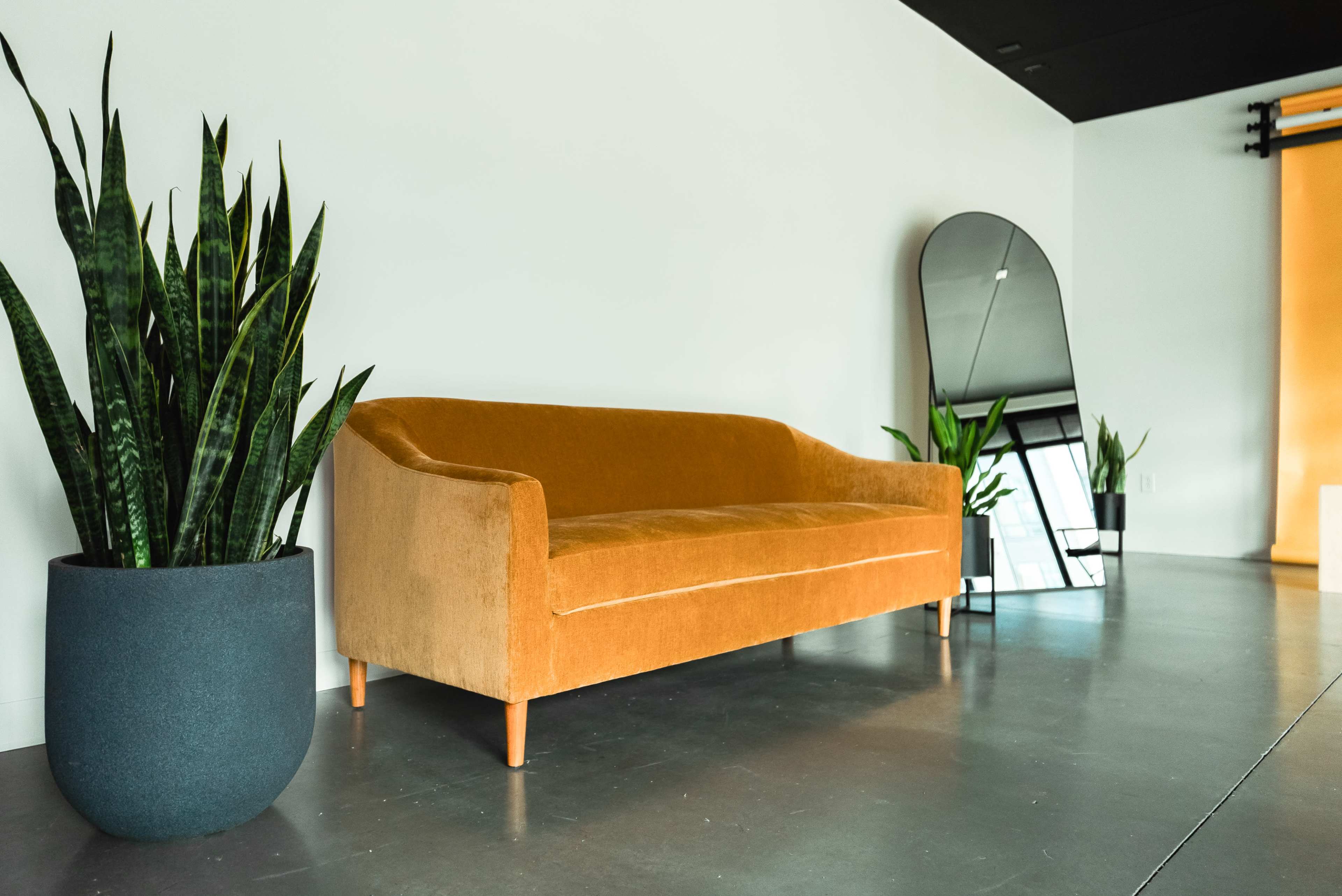 A velvet orange sofa is positioned against a plain white wall, accompanied by tall green plants in cylindrical pots and a large mirror reflecting the room.
