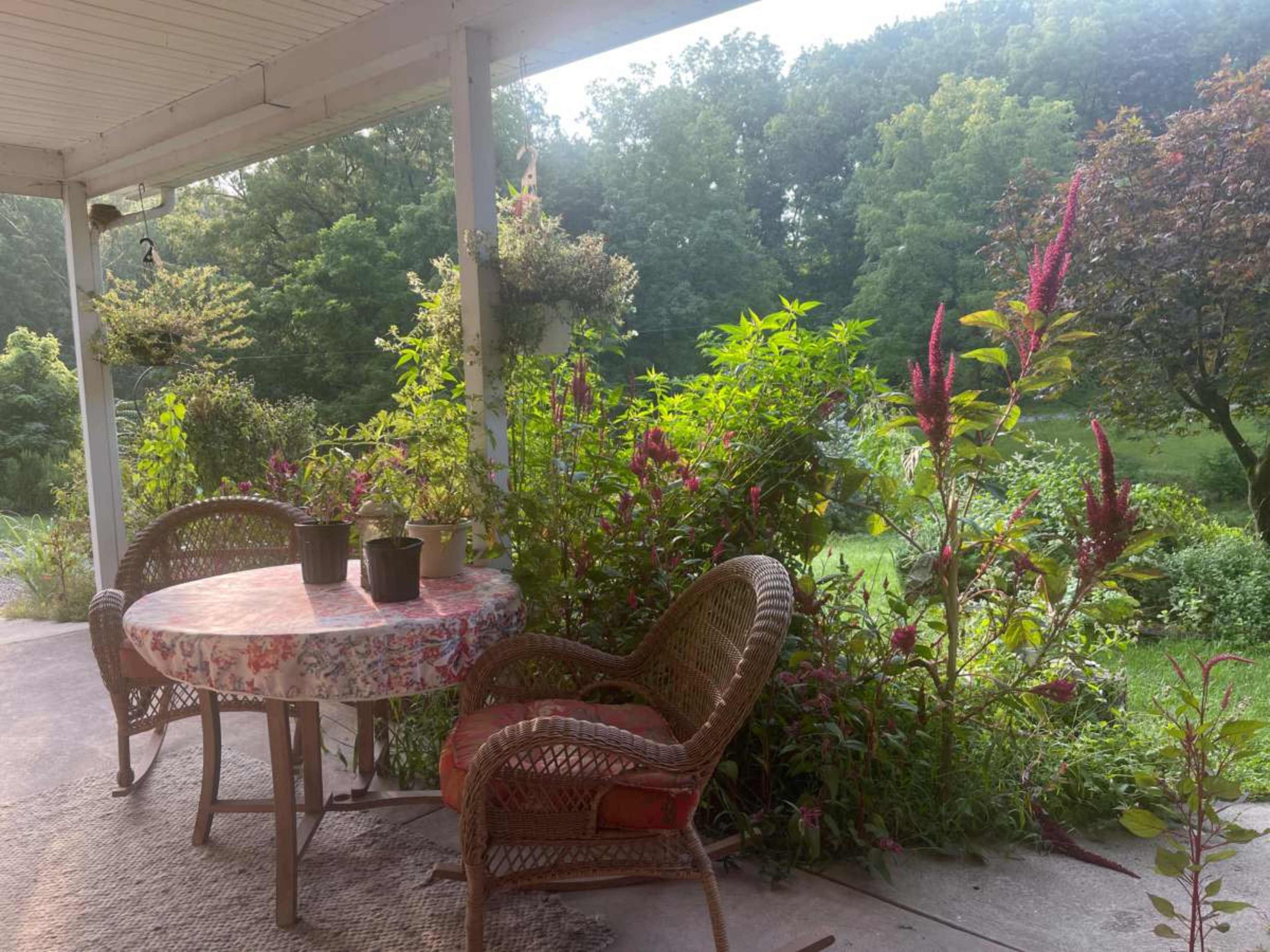 A patio with a round table adorned with a floral tablecloth, surrounded by potted plants and lush greenery.