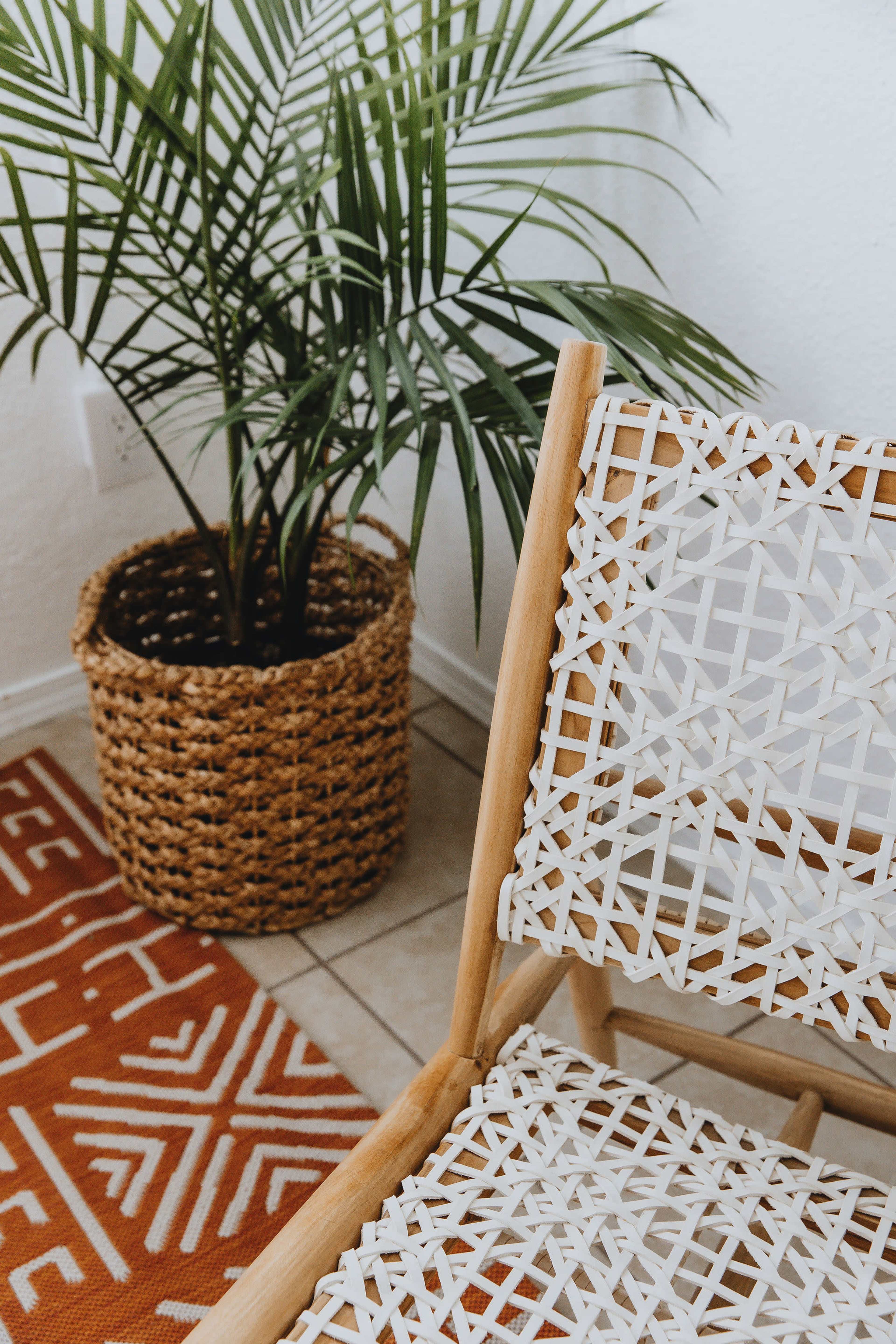A woven chair is positioned next to a potted plant set in a decorative basket on a patterned rug.