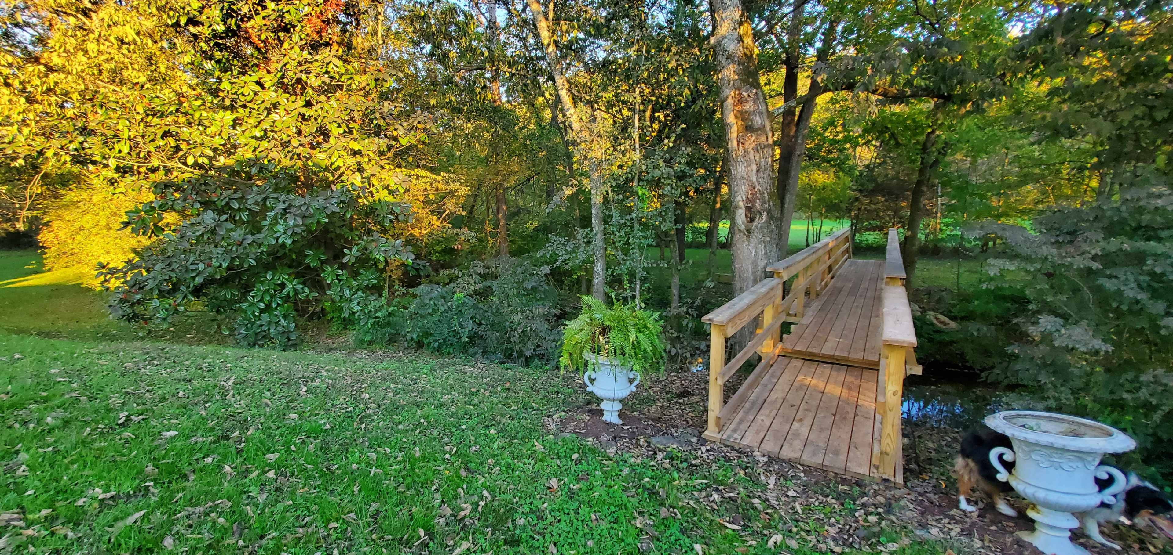 A wooden bridge crosses a small stream surrounded by trees and greenery, with potted plants on either side.