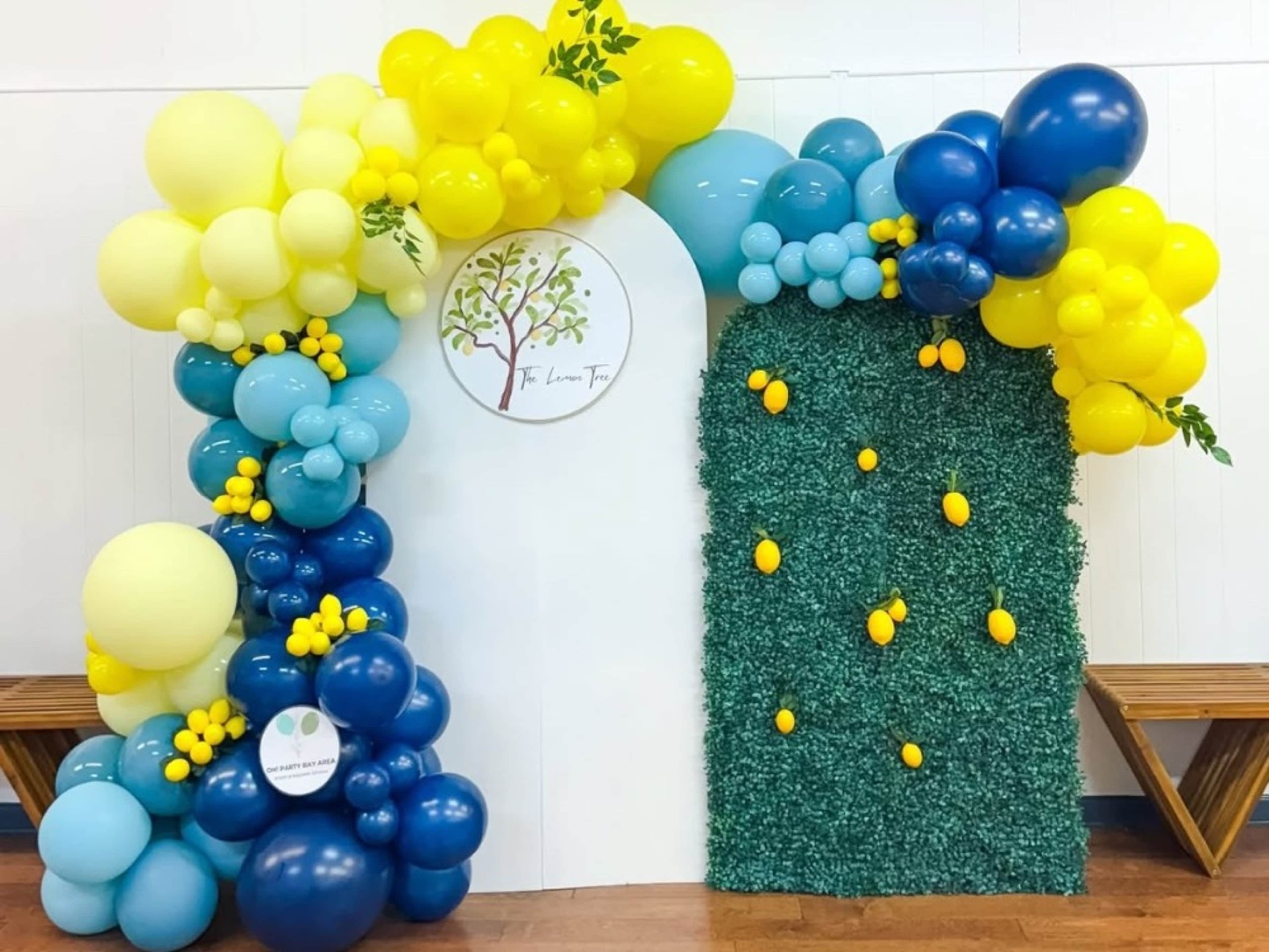 Decorative Balloon Package