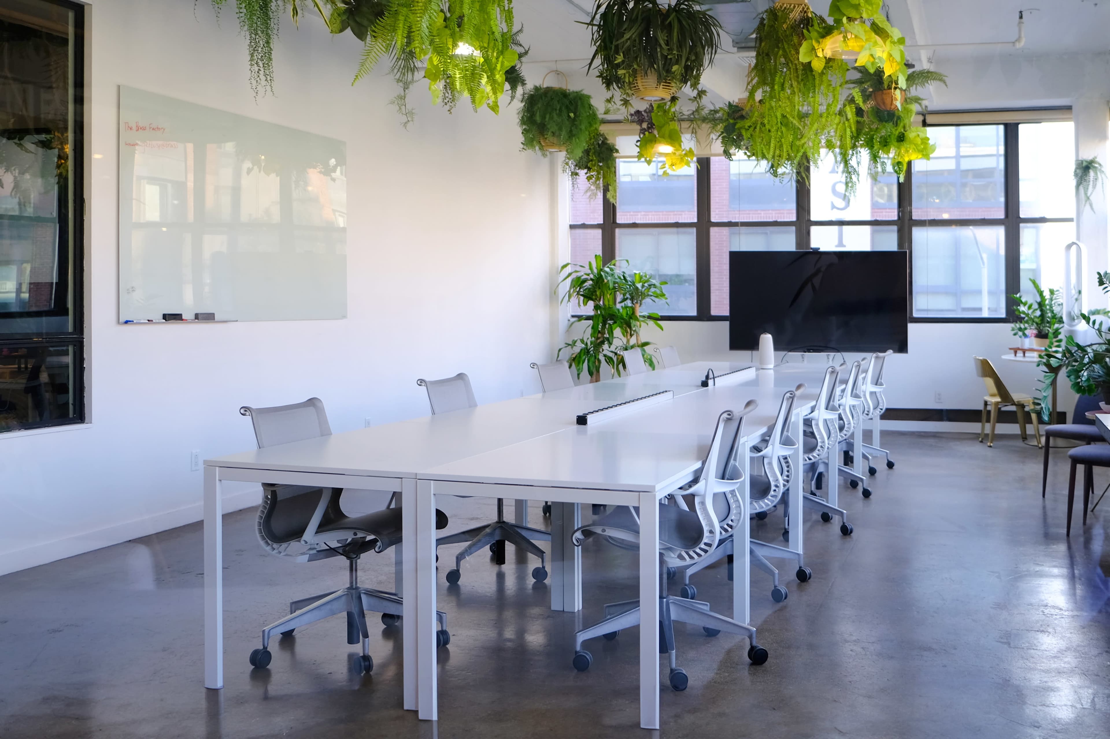 The image shows a modern conference room featuring a long white table, ergonomic chairs, and hanging plants, with large windows providing natural light.