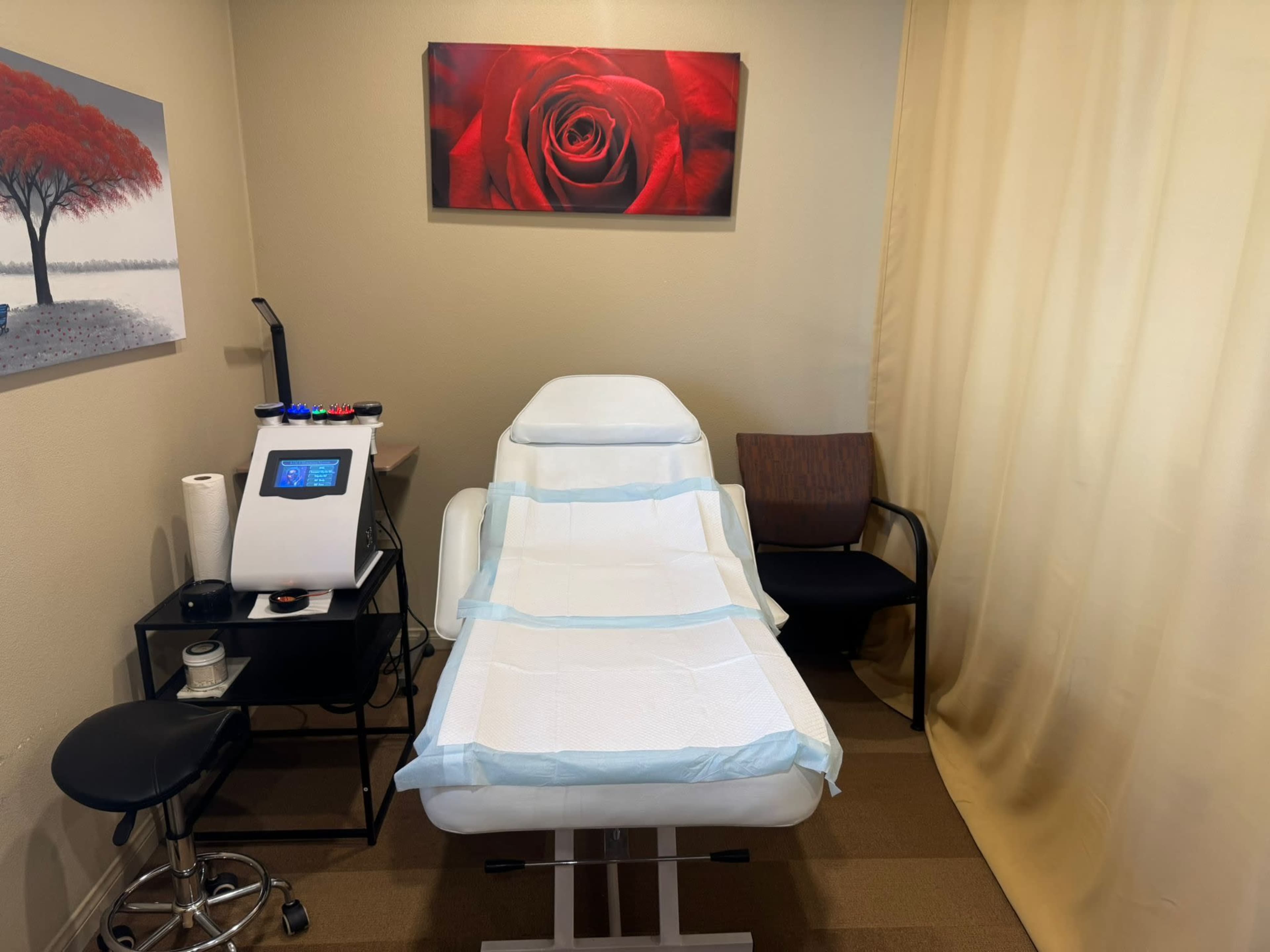 The image shows a clean treatment room with a medical examination chair, a small table with equipment, and a decorative rose painting on the wall.