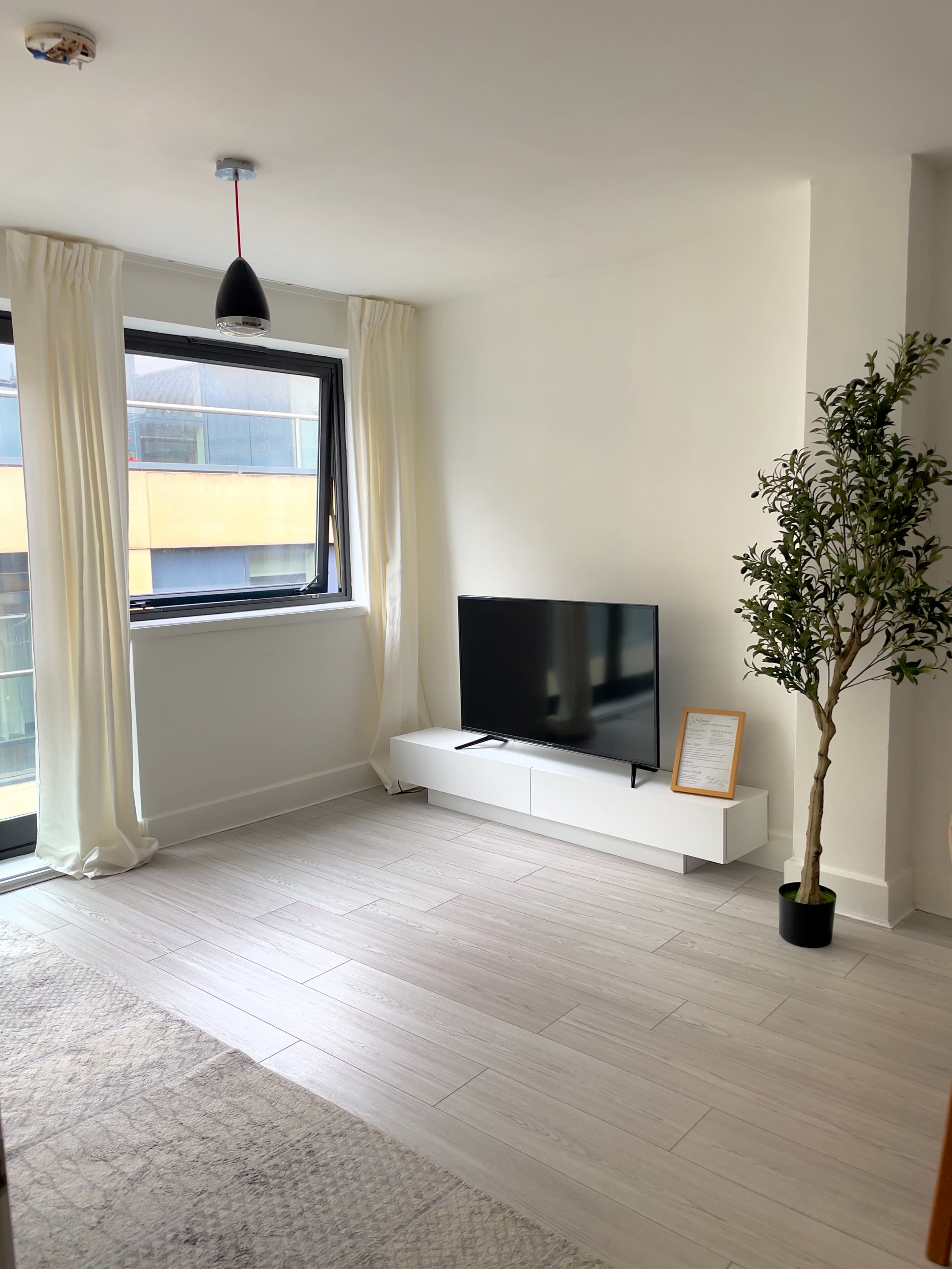 A minimalist living room features a flat-screen TV on a white media console, a tall potted plant, and natural light streaming through a large window.