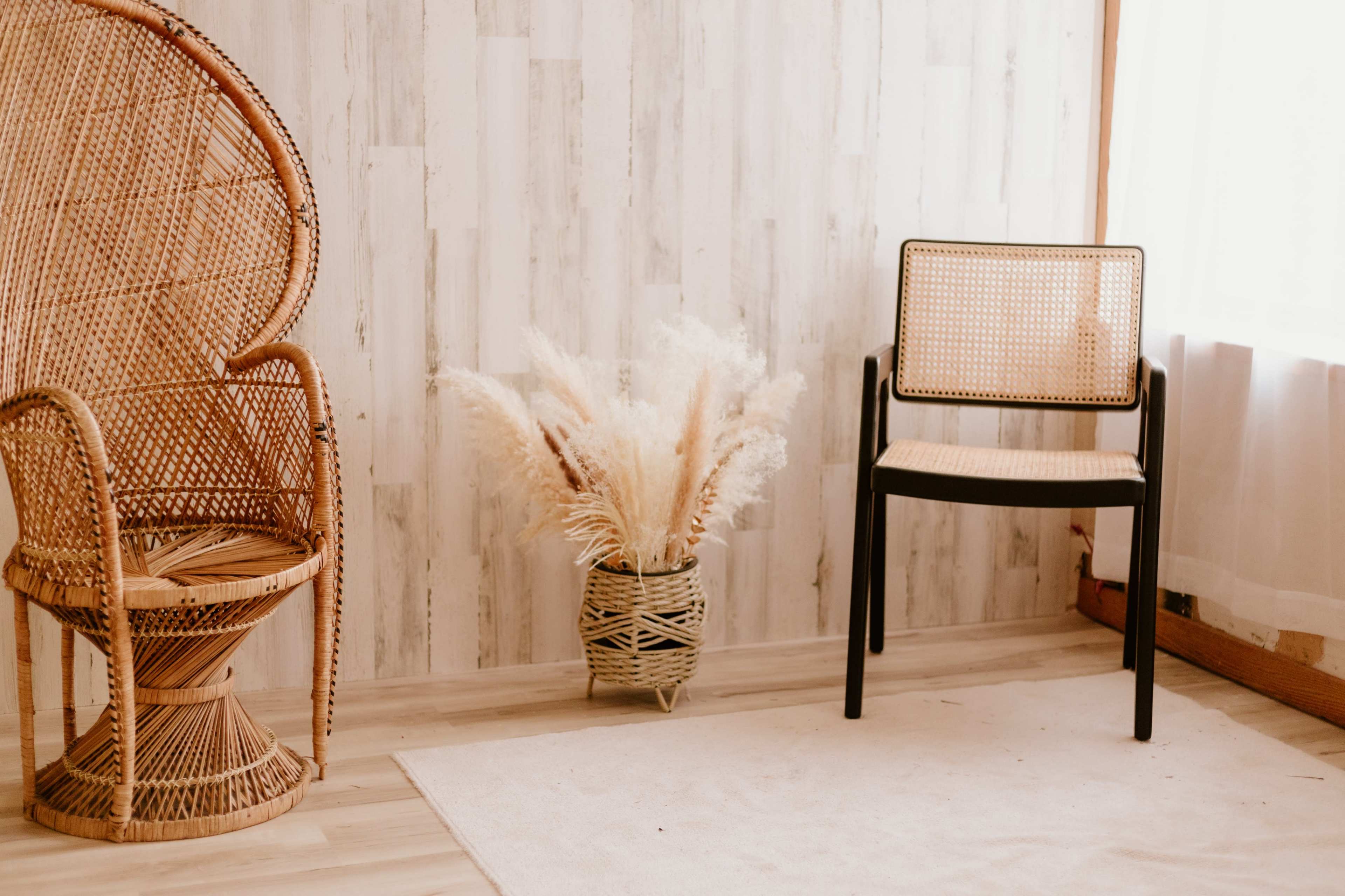 The image shows a room with a rattan chair, a modern black chair, and a vase of dried pampas grass set against a light wooden wall.