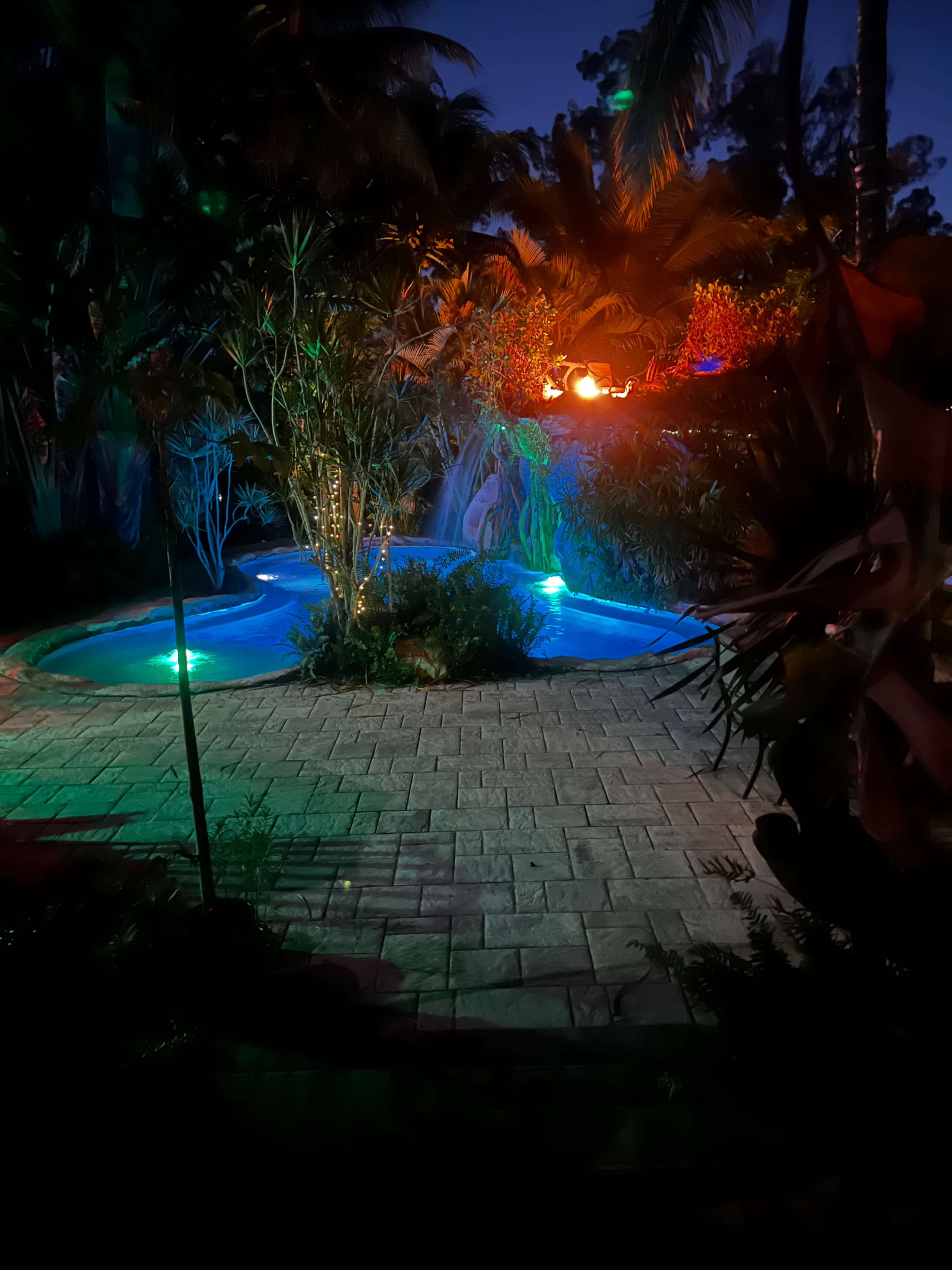 The scene features a pool surrounded by lush foliage, illuminated by colorful lights against a nighttime backdrop.