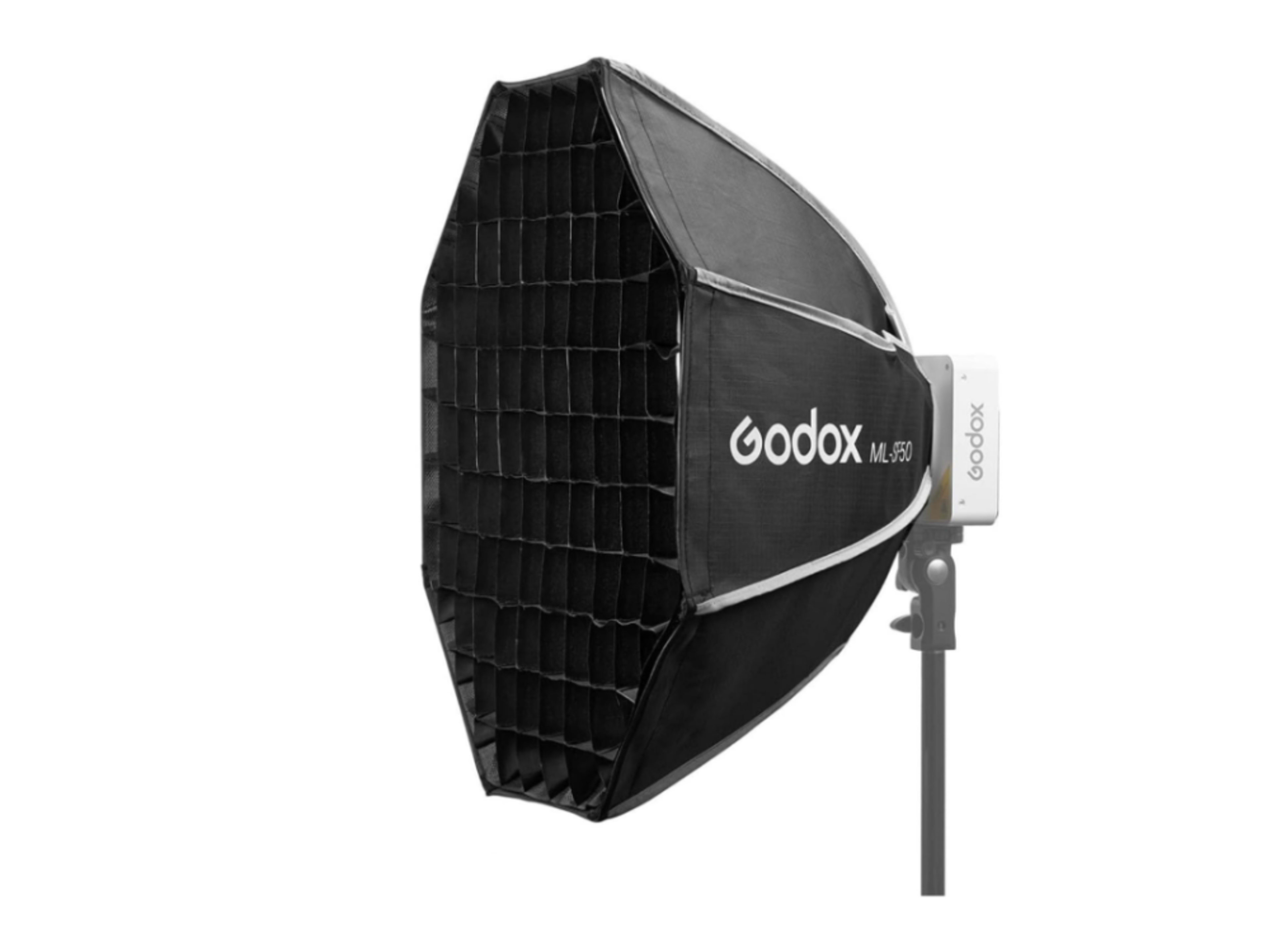 Godox ML80Bi LED Video Light w/ Octagon Softbox