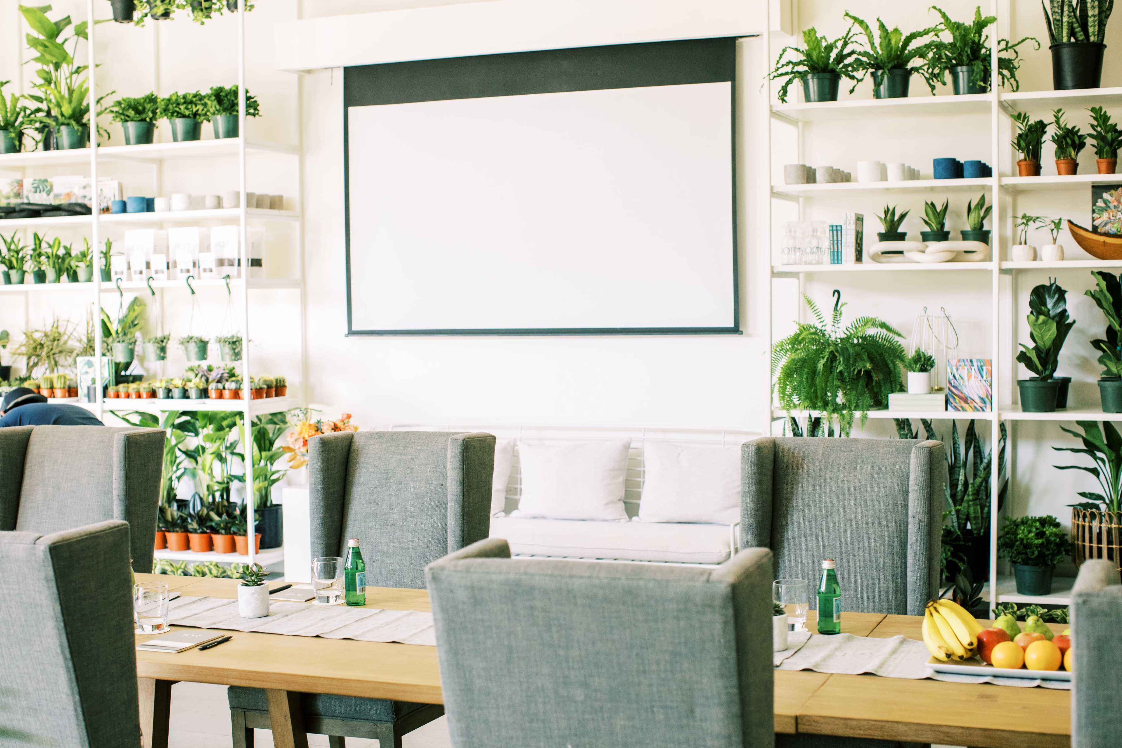 A meeting room features a large blank screen at the front, surrounded by shelves of potted plants, with a central wooden table set with drinks and fruit.