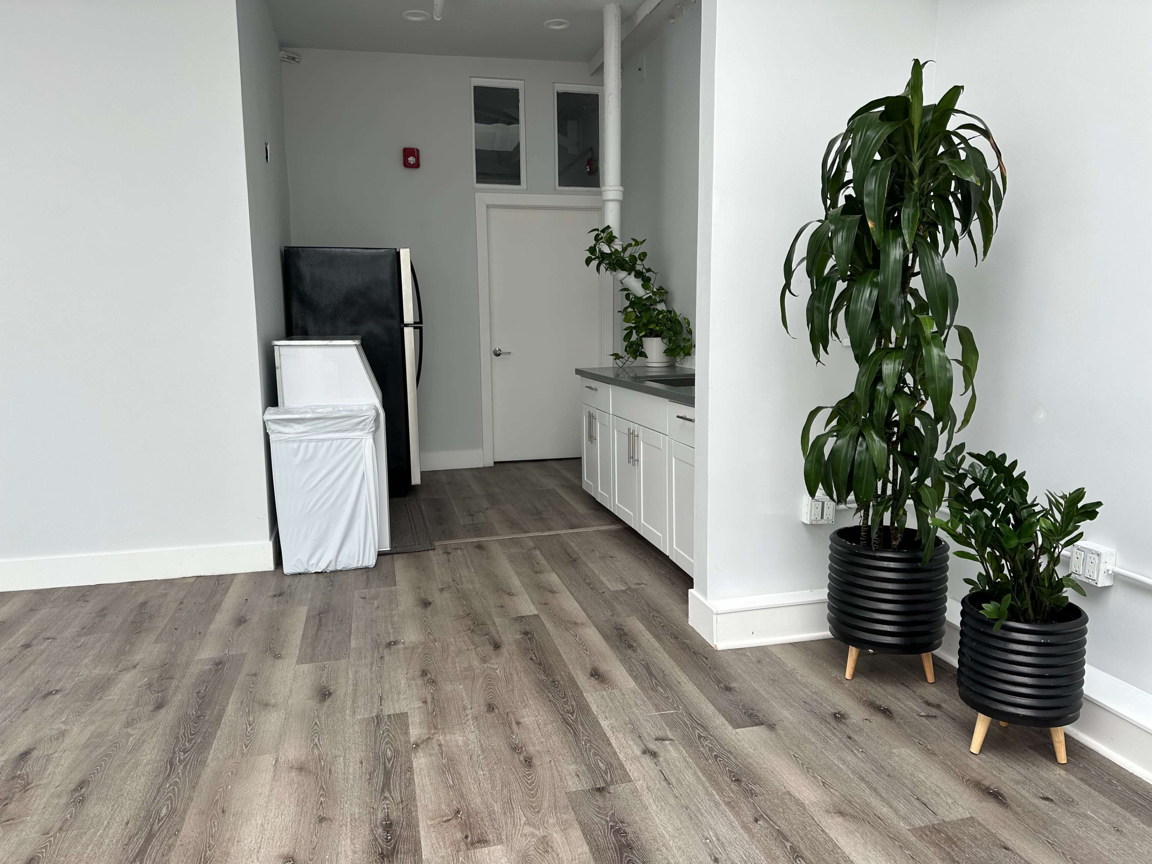 The image shows a modern, empty room with light-colored walls, a refrigerator, a white cabinet, and two potted plants.