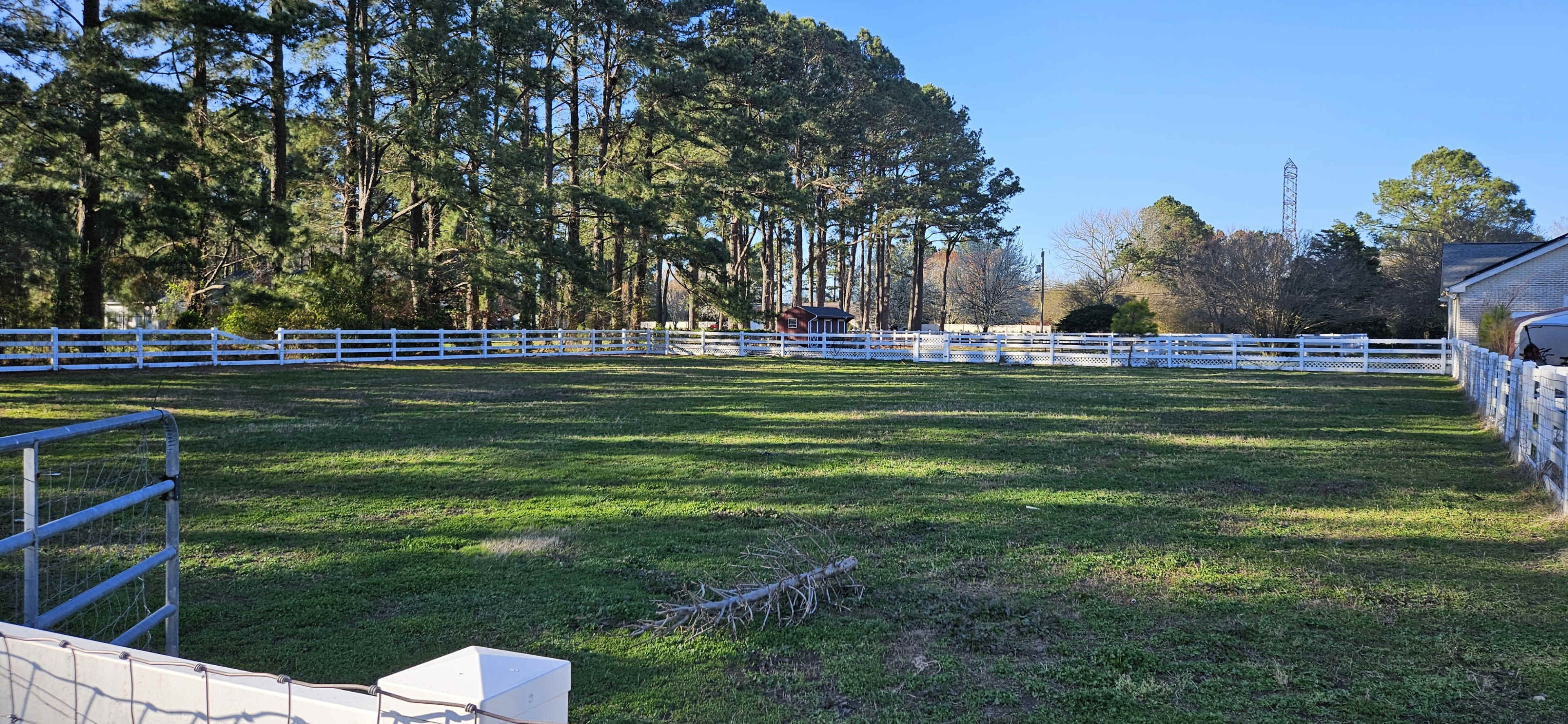 A large, grassy fenced area surrounded by tall trees and a clear blue sky.