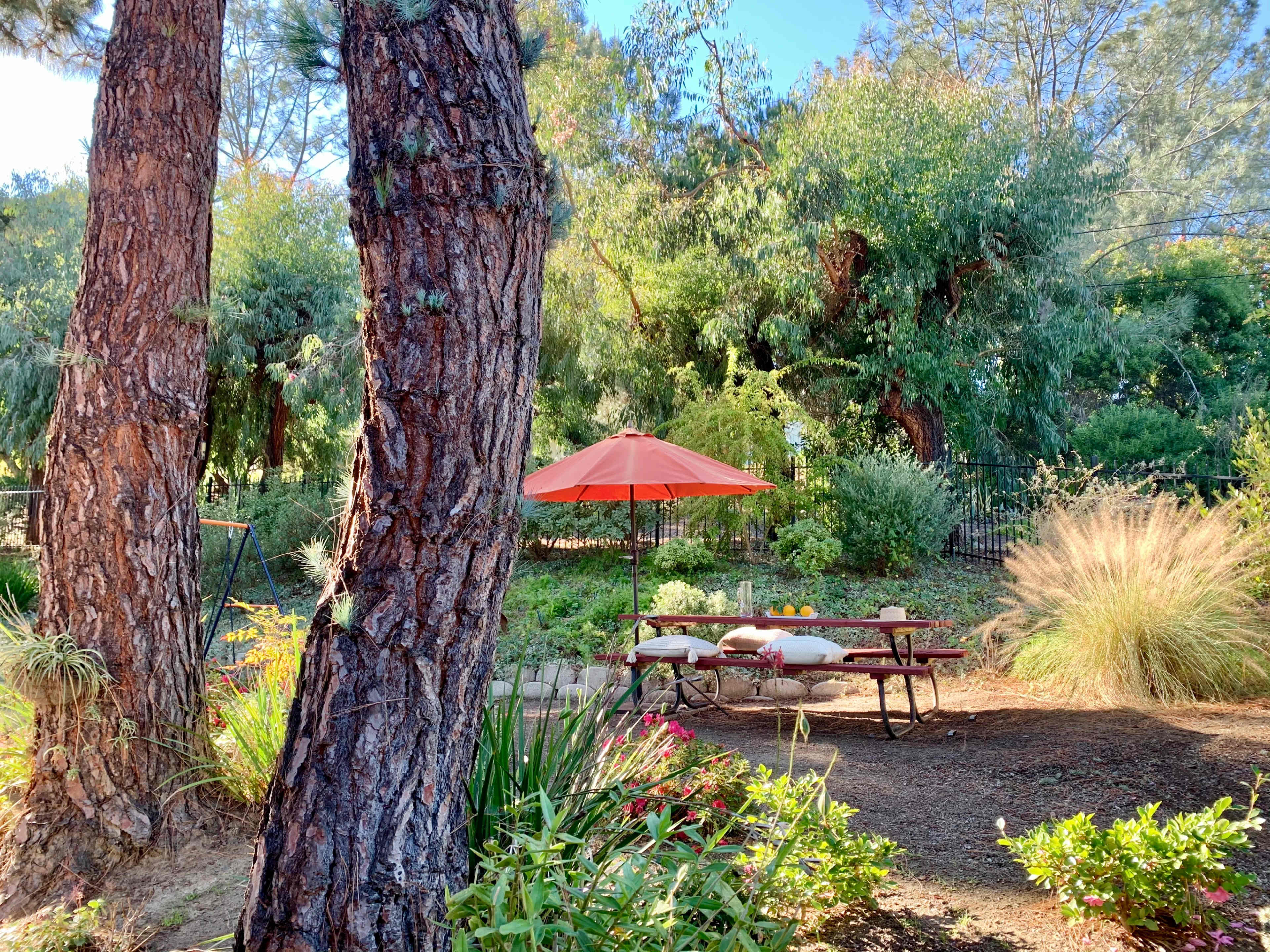 A picnic area with a red umbrella is situated among trees and shrubs in a garden setting.