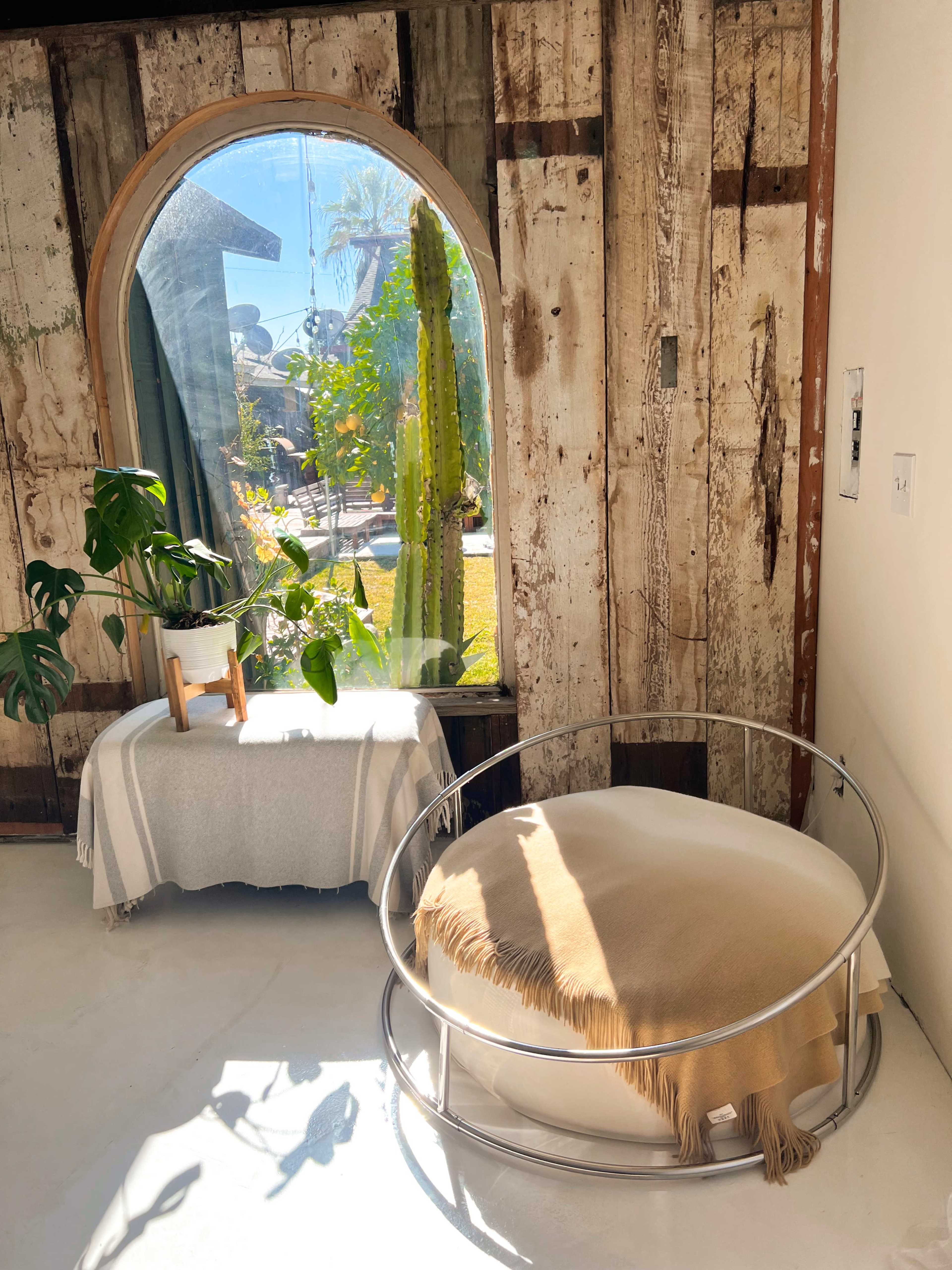 The image shows a bright room with a circular chair, a small table covered with a blanket, and a large window featuring a view of a cactus garden.