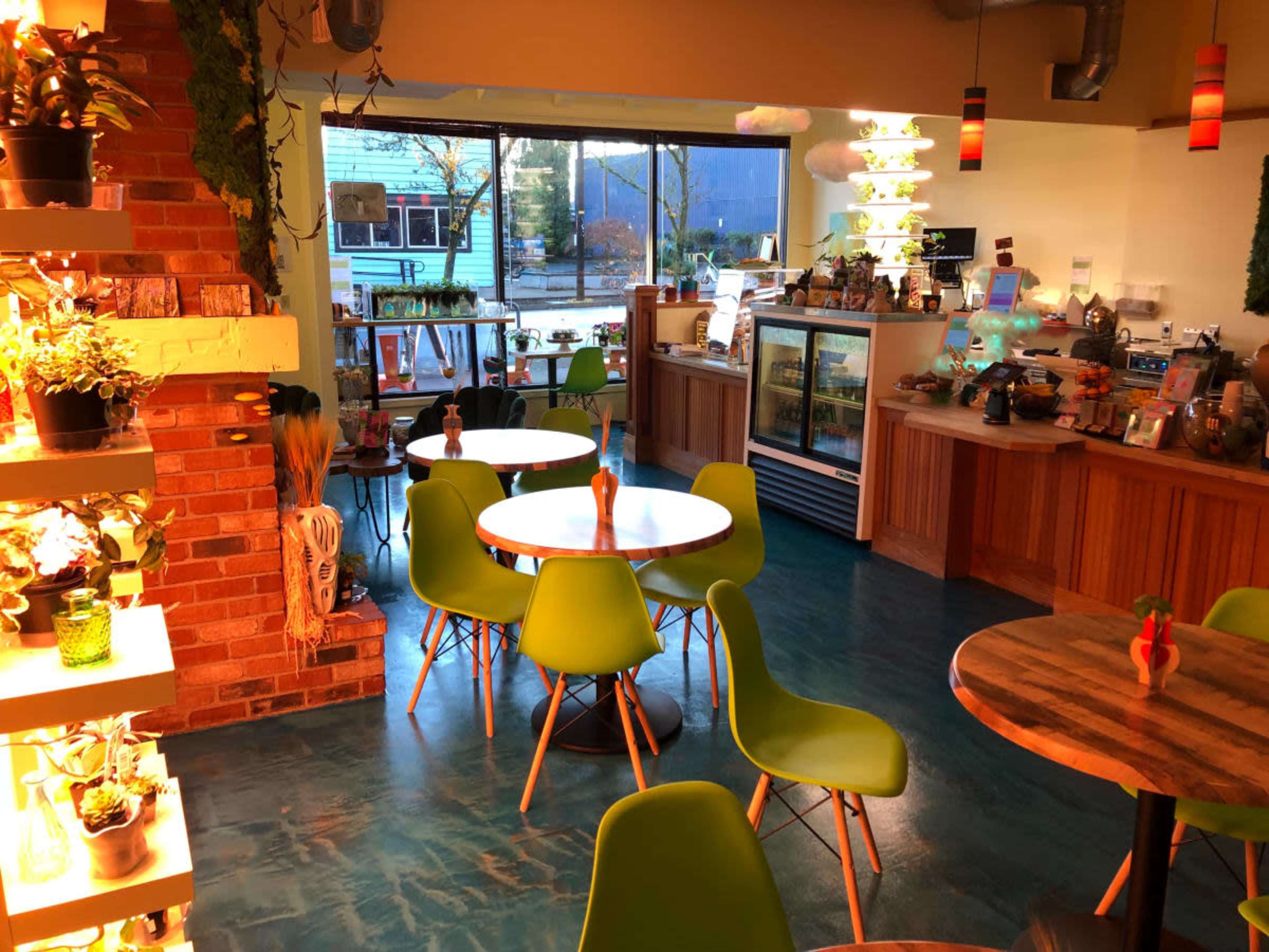 The image shows a brightly lit café with green chairs and round tables, featuring a counter with a glass display case and various plants decorating the interior.