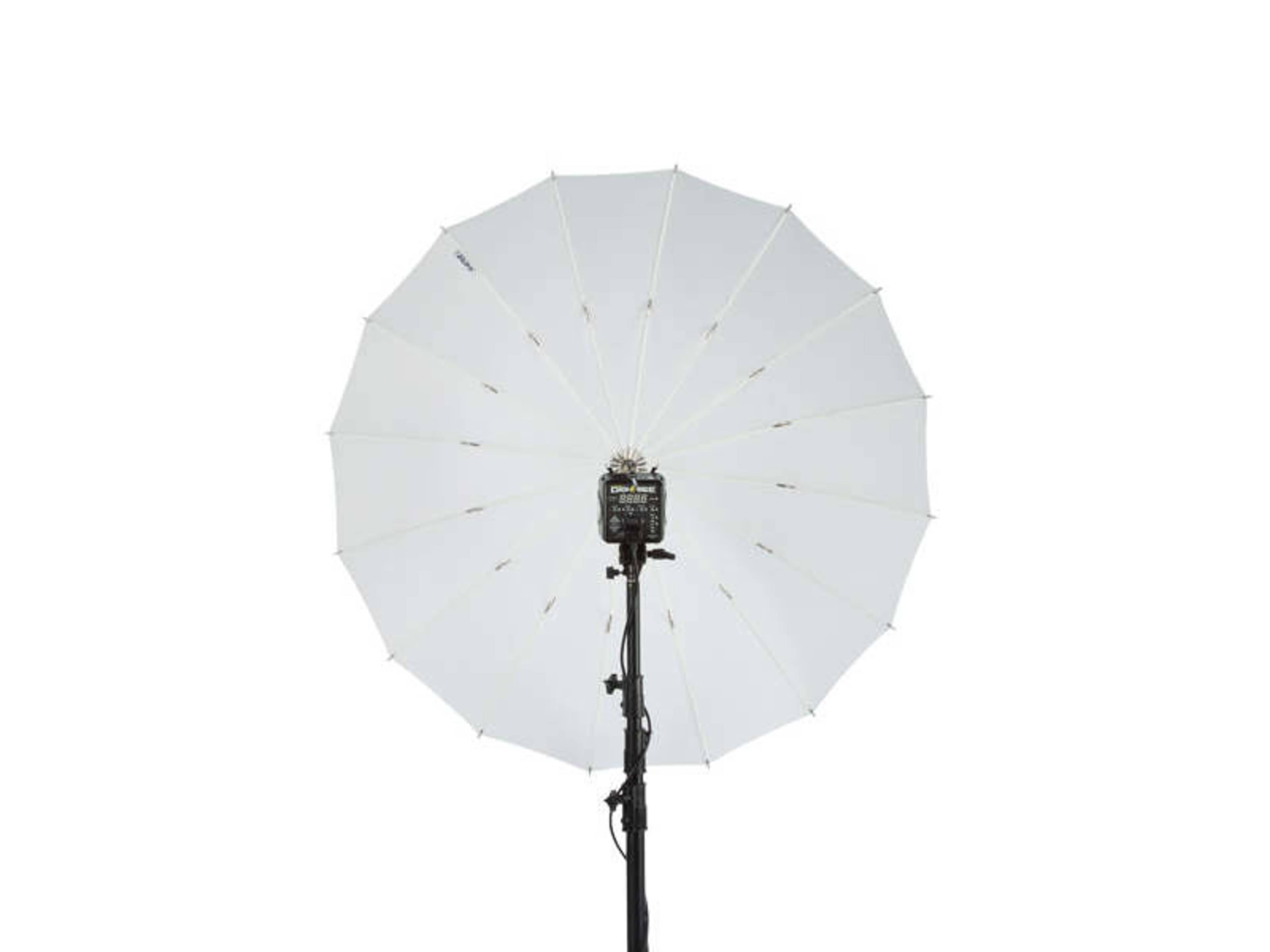 AlienBees B800 + 51" PLM Lighting Kit