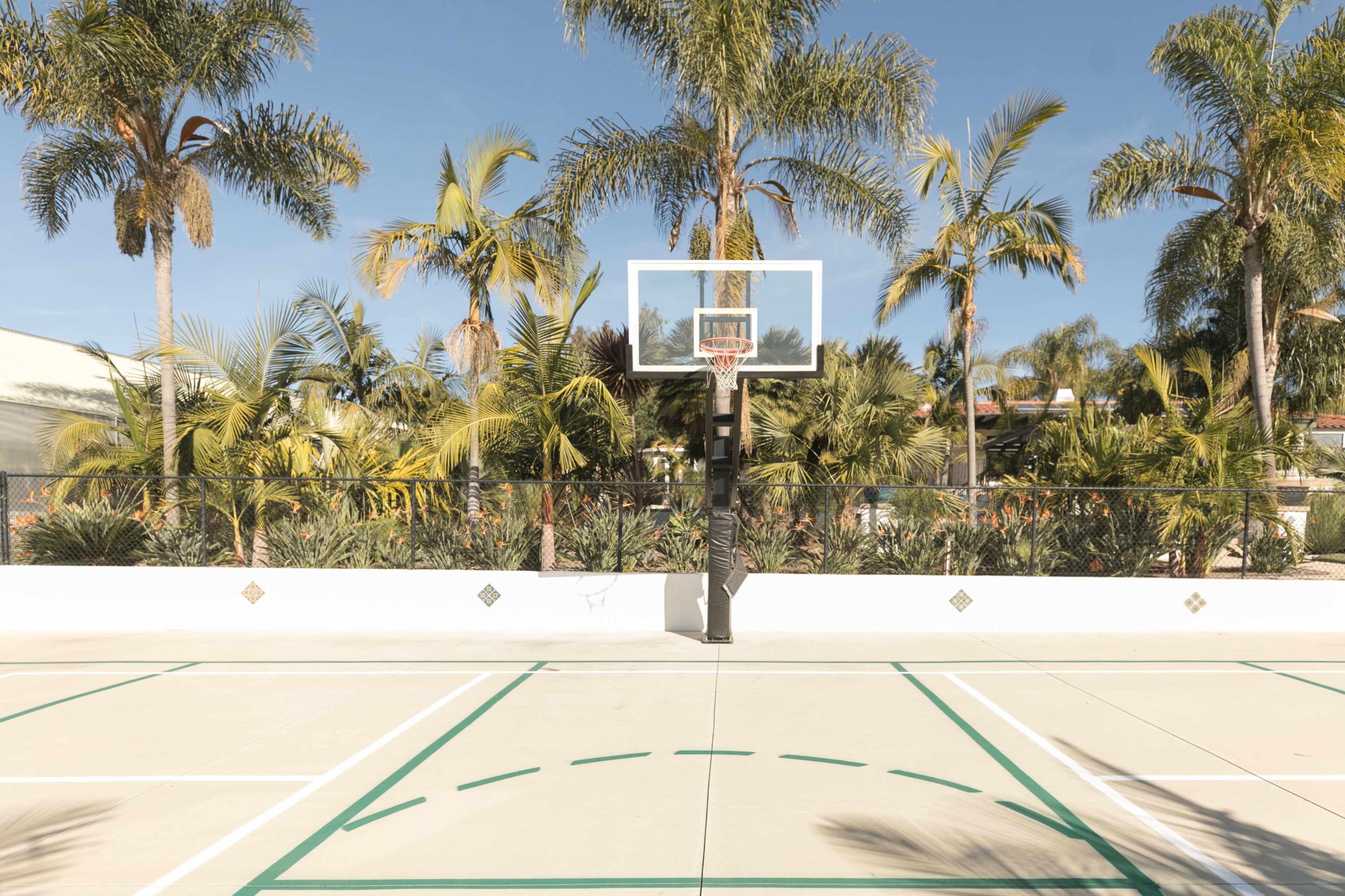 A basketball hoop stands at the center of a court surrounded by palm trees and a clear blue sky.
