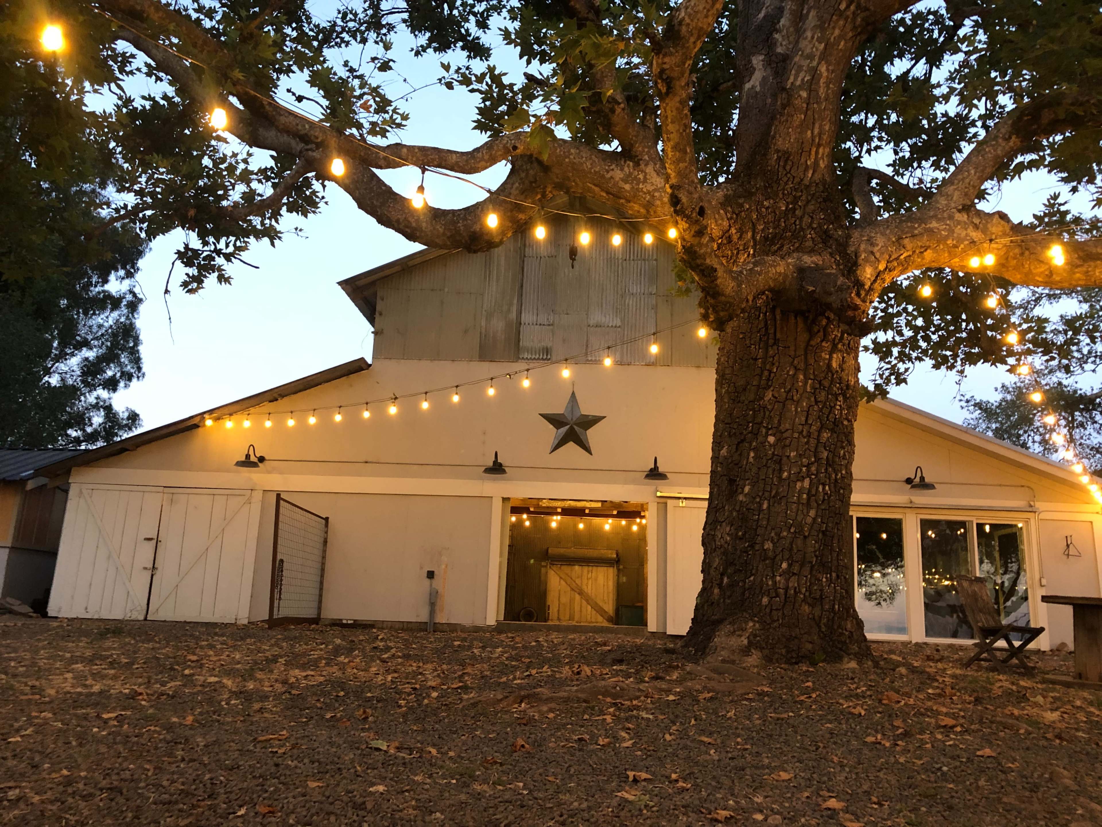 A barn adorned with string lights, situated under a large tree in a dimly lit outdoor setting.