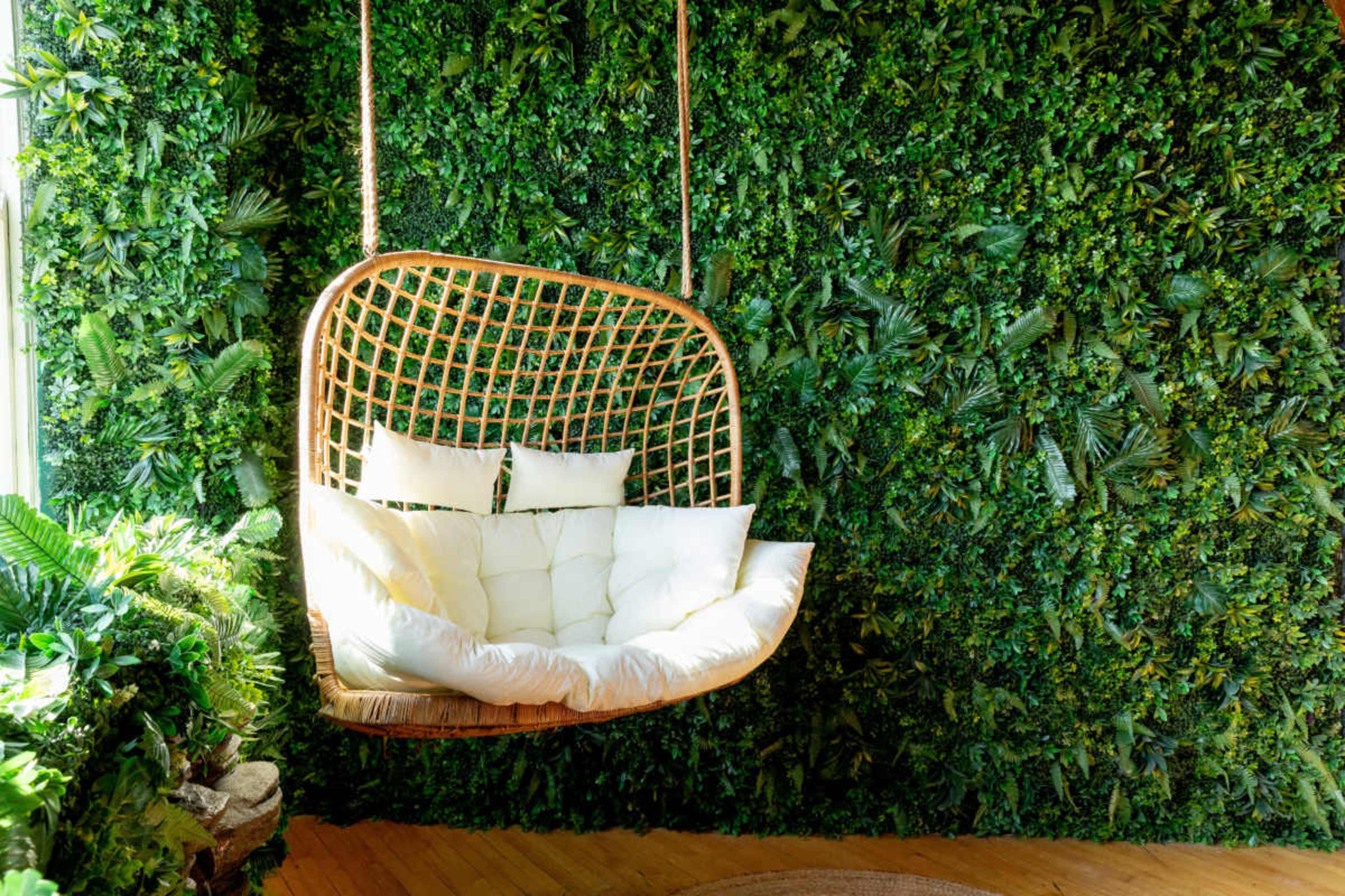 A large, woven hanging chair with white cushions is suspended in front of a lush, green wall covered in plants.