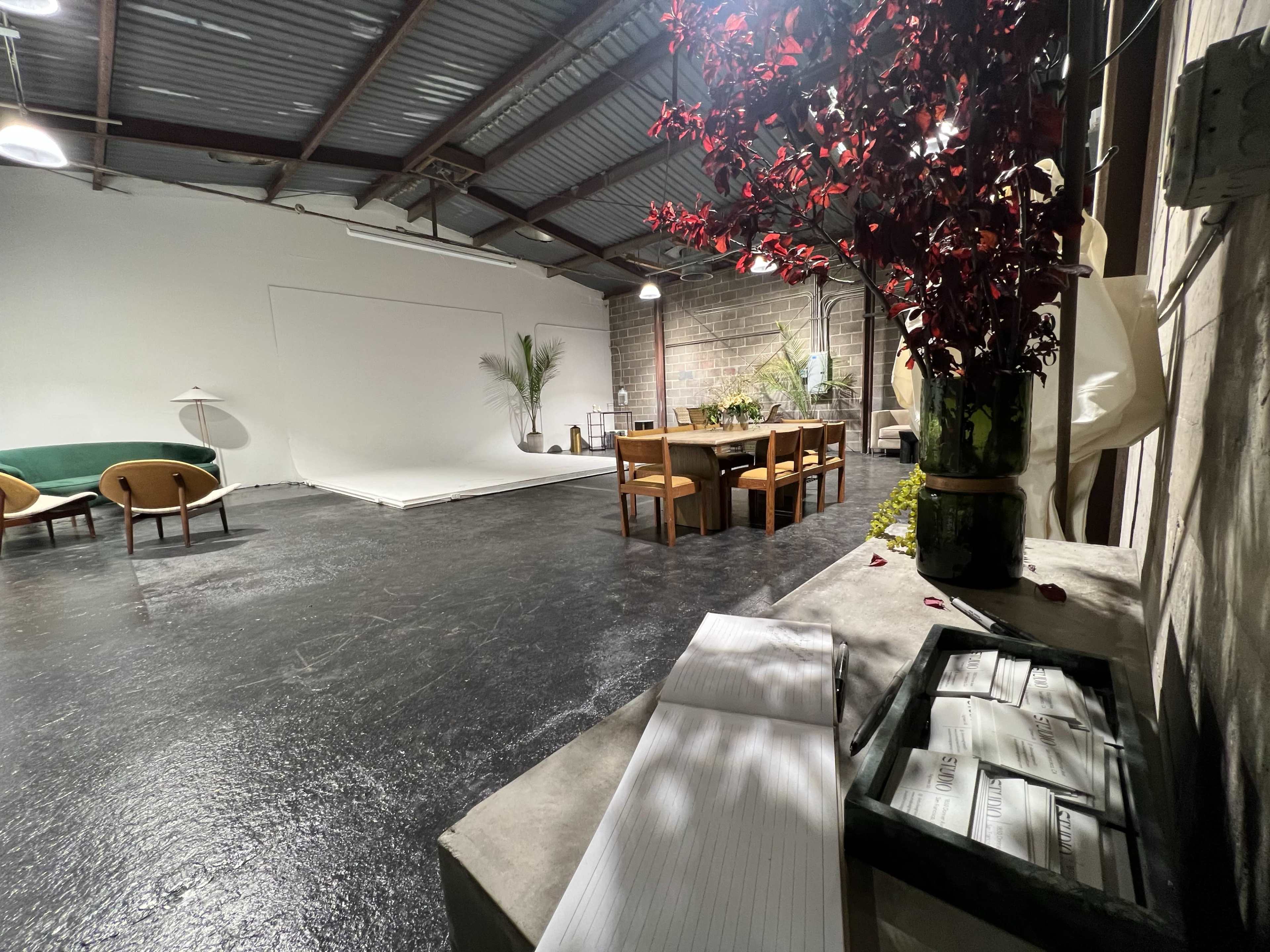 An empty studio space with a black floor, a large white backdrop, a dining table surrounded by chairs, and several decorative plants.