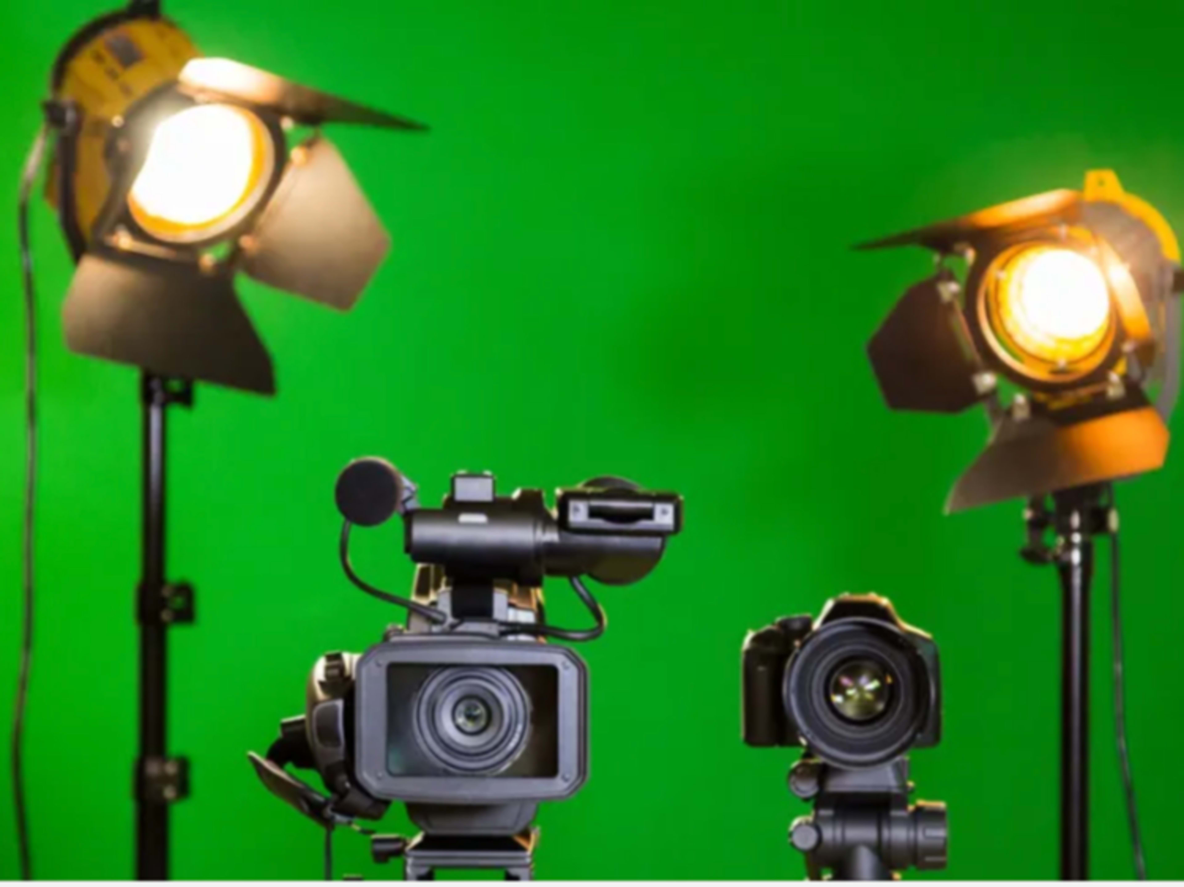 Professional Photographer