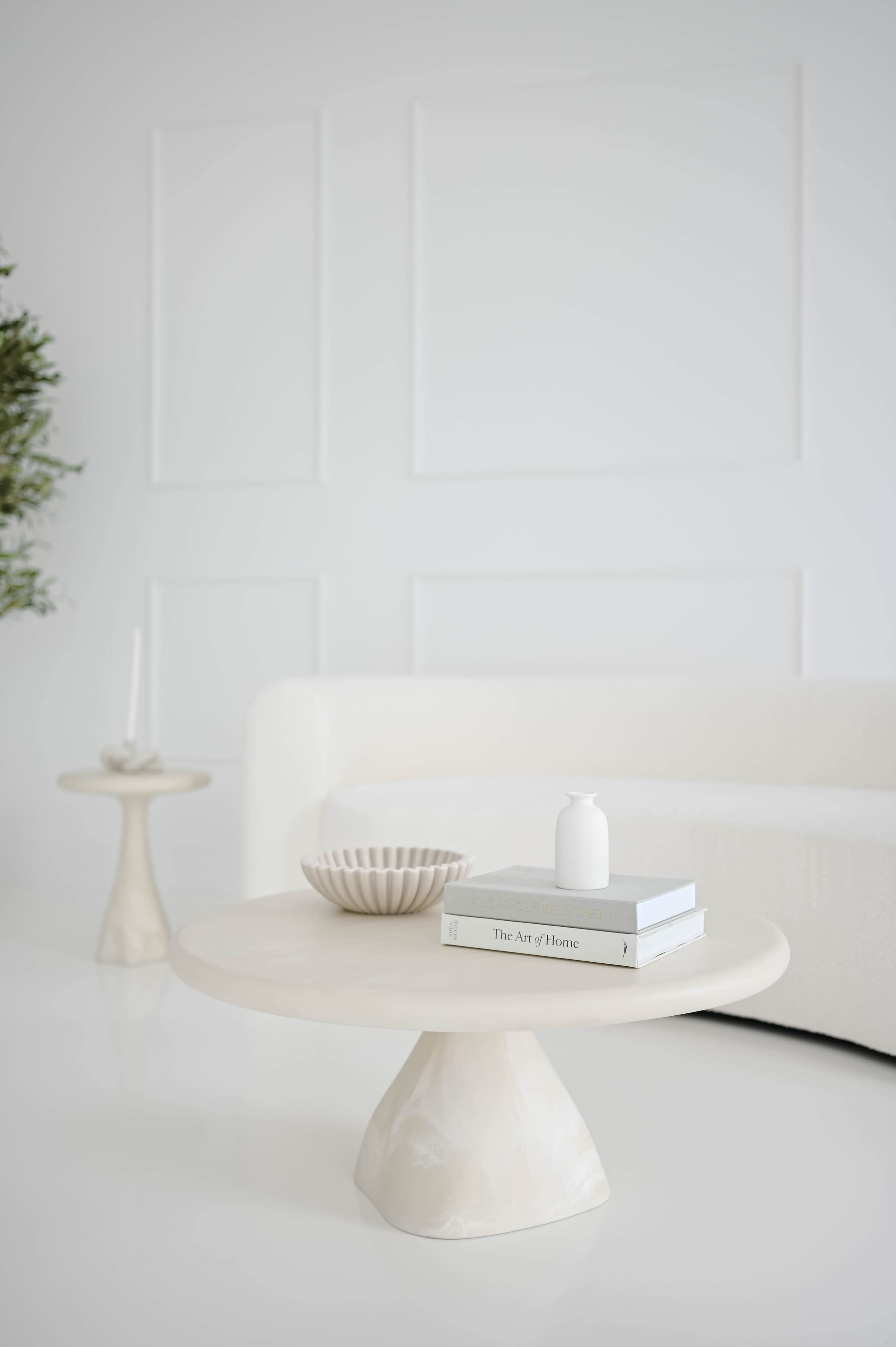 Natural Light Studio in Miami Image in Miami Lakes, Miami Lakes, FL