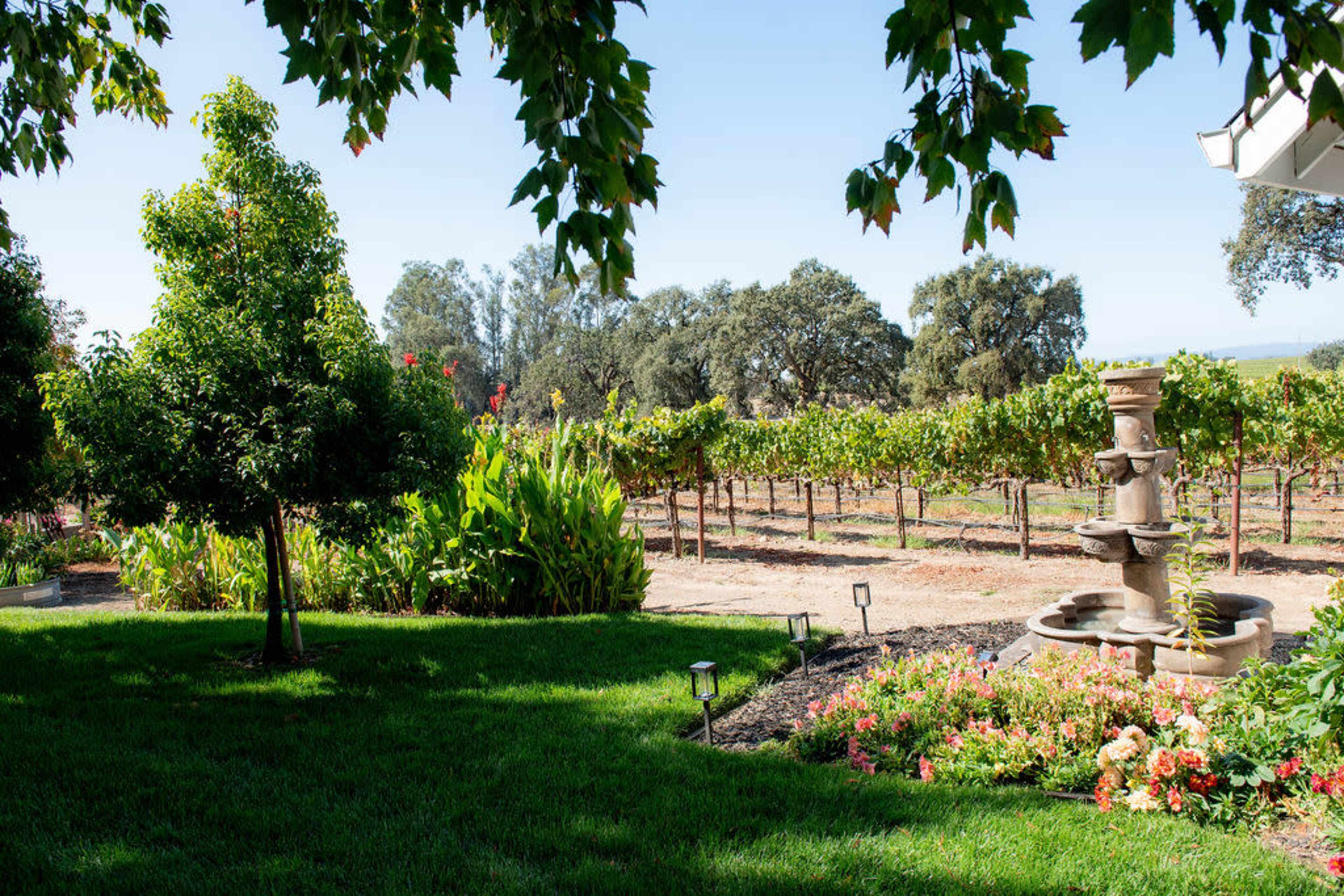 A well-maintained garden features a fountain surrounded by colorful flowers, overlooking a vineyard in the background.