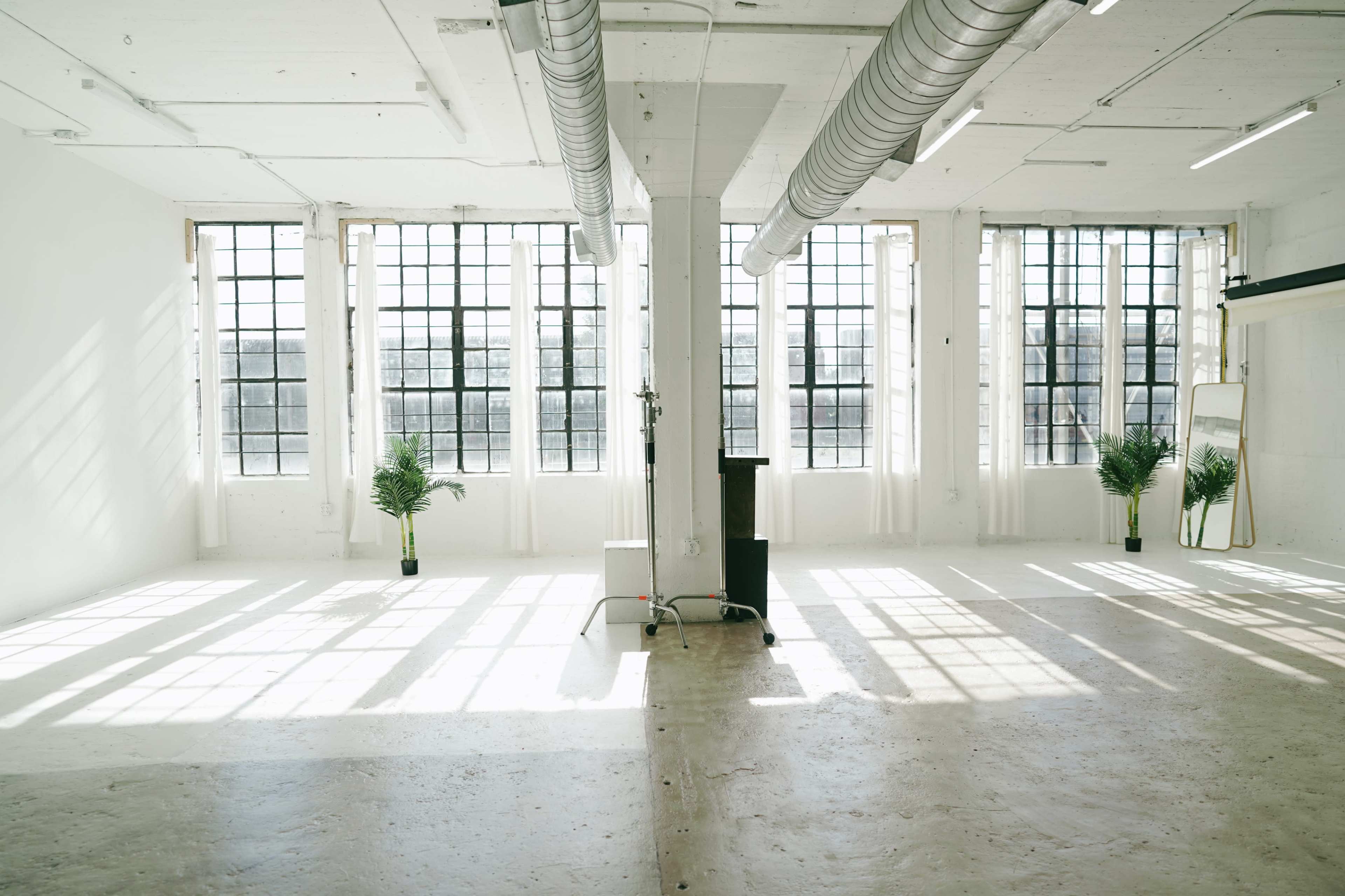 The image shows a spacious, well-lit room with large windows, a mirror, and potted plants.