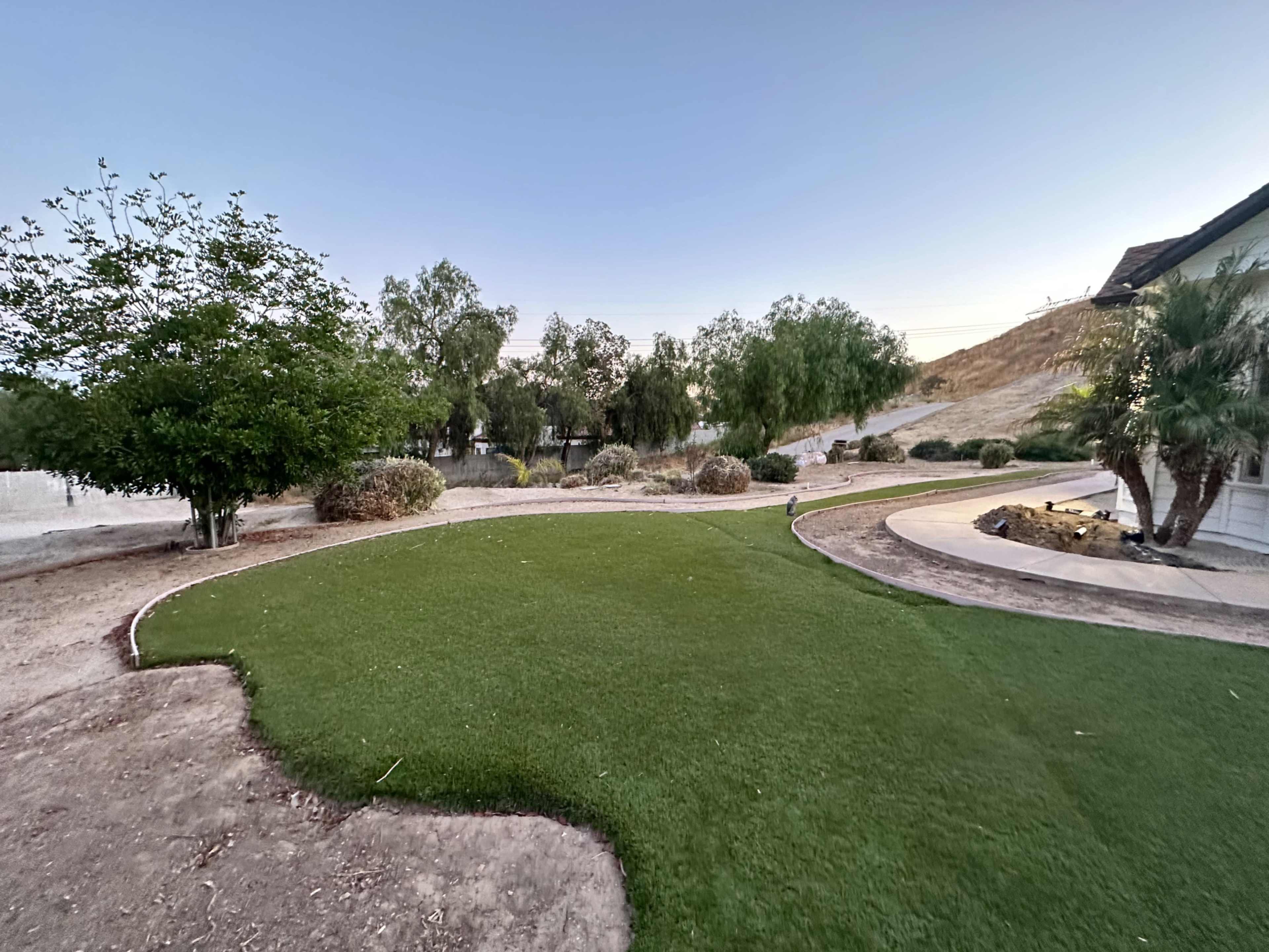 The image shows a landscaped yard with a green lawn, palm trees, and a water body in the background.