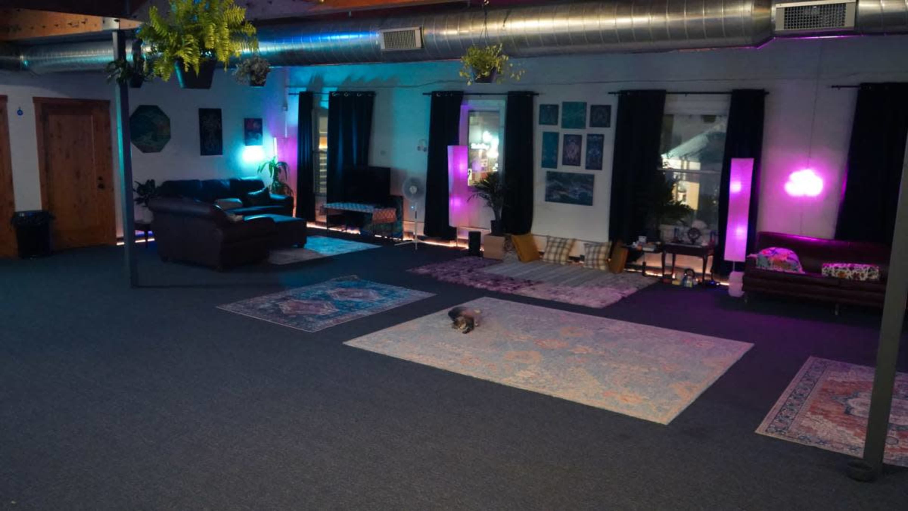 Curious Cat Lounge Image in Englewood, Englewood, CO