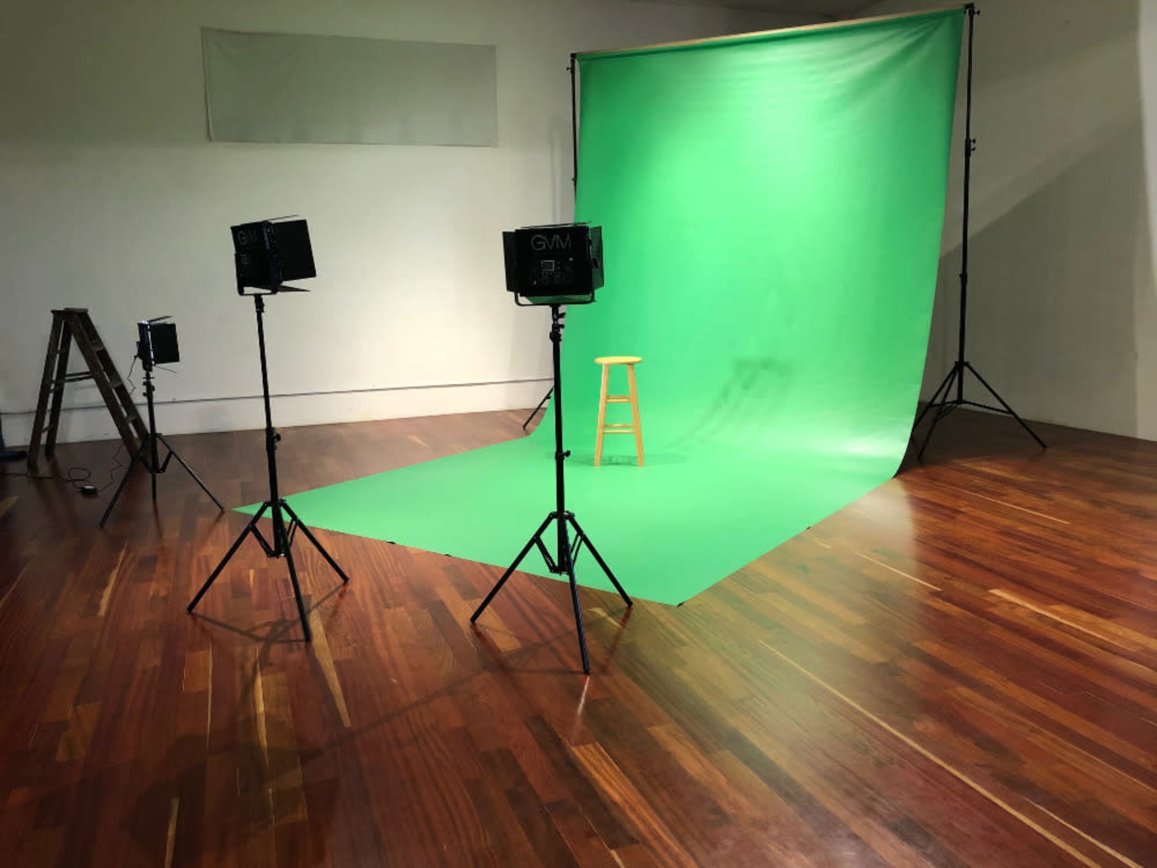 Green Screen (20x10 vinyl) 