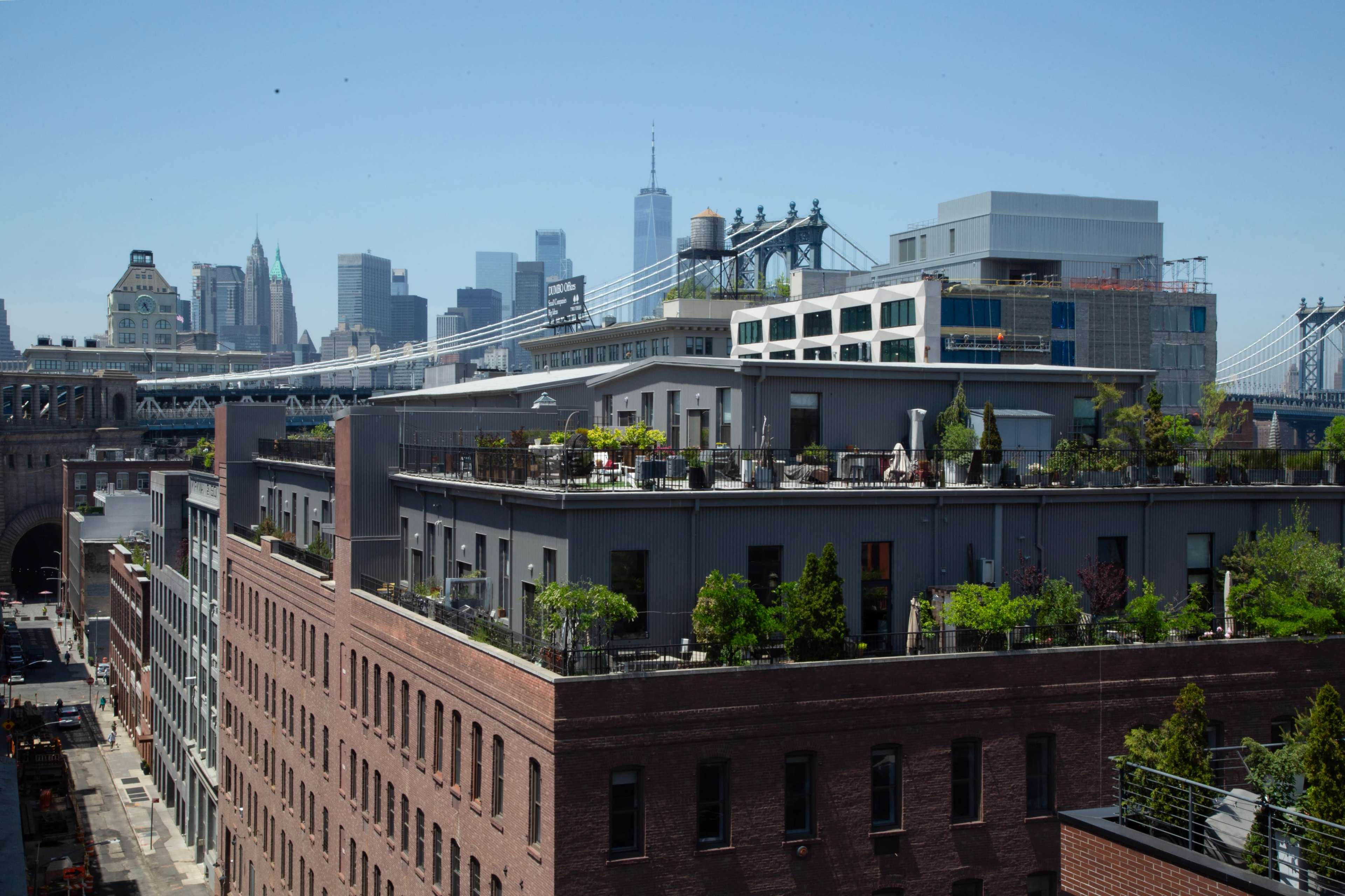 A view from above shows modern buildings with rooftop greenery and the Manhattan skyline in the background, featuring the Brooklyn Bridge.